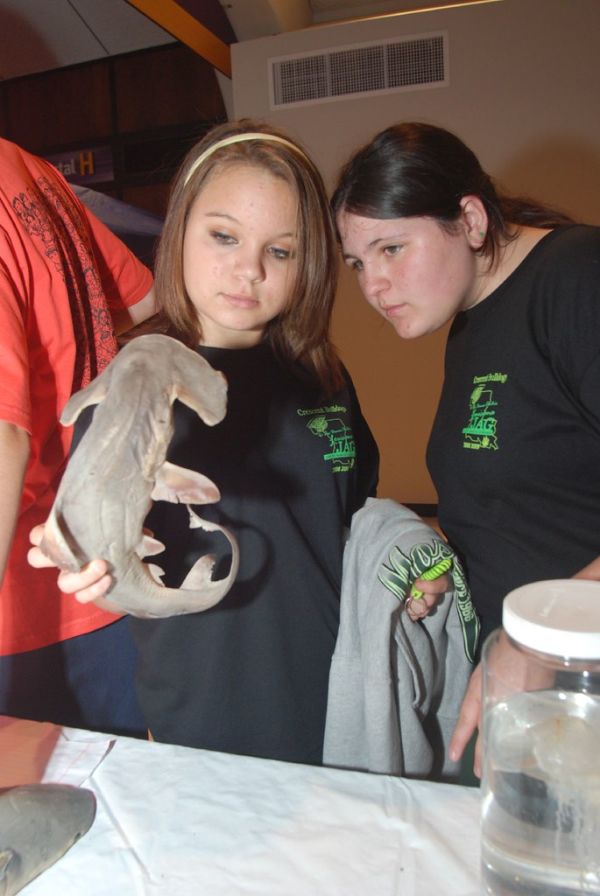 Dauphin Island Sea Lab