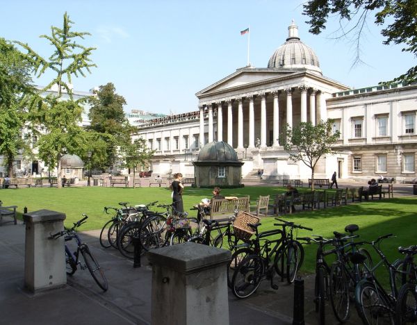 UCL AI輔助腦腫瘤手術首例成功 切除率98%血流減30%