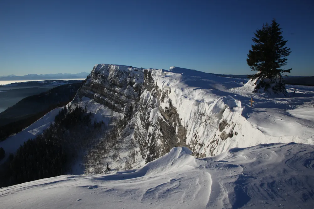 Mont d'Or