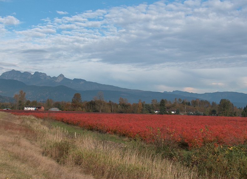 Pitt Meadows, Canada