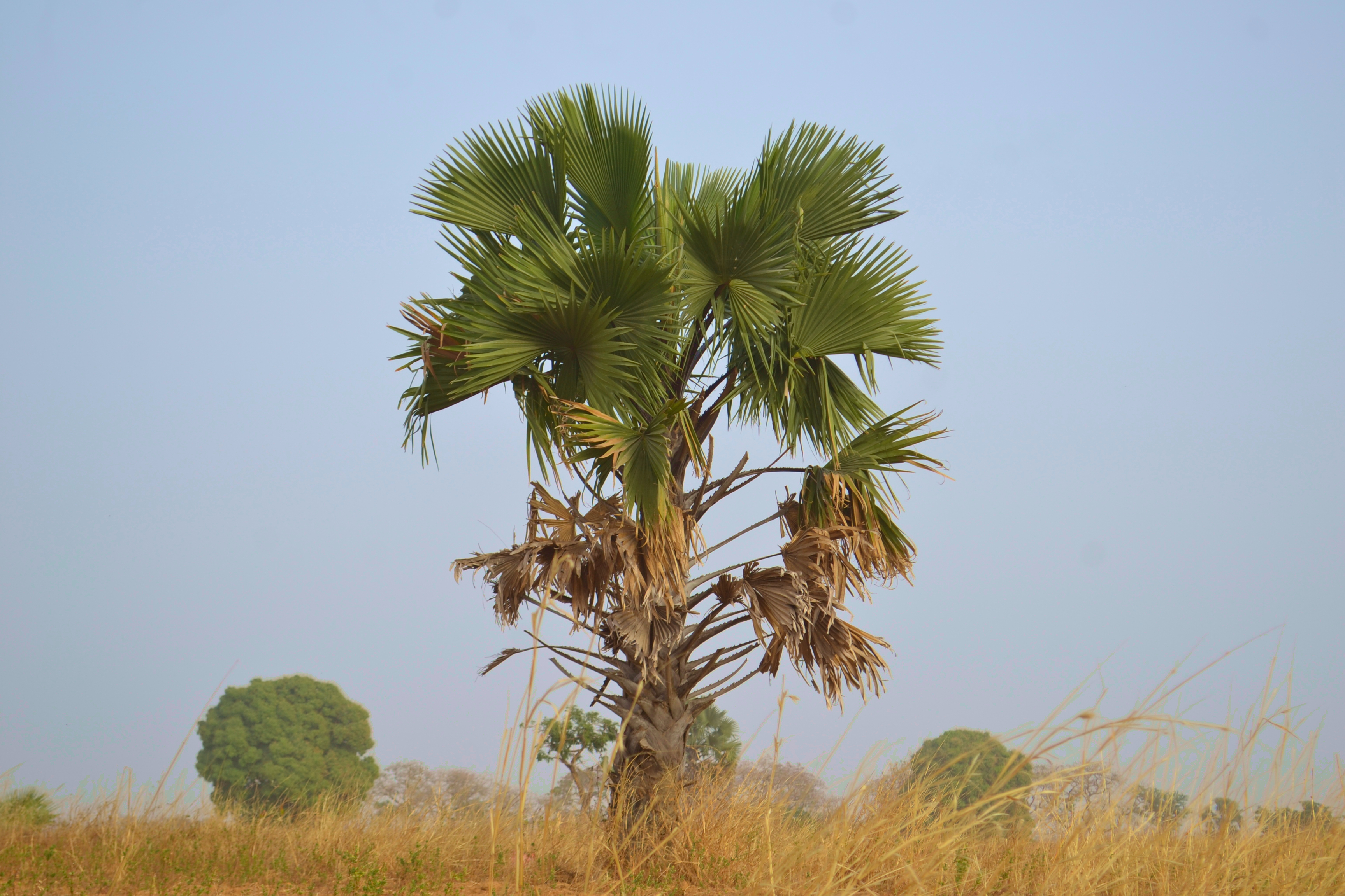 Kachia, Nigeria