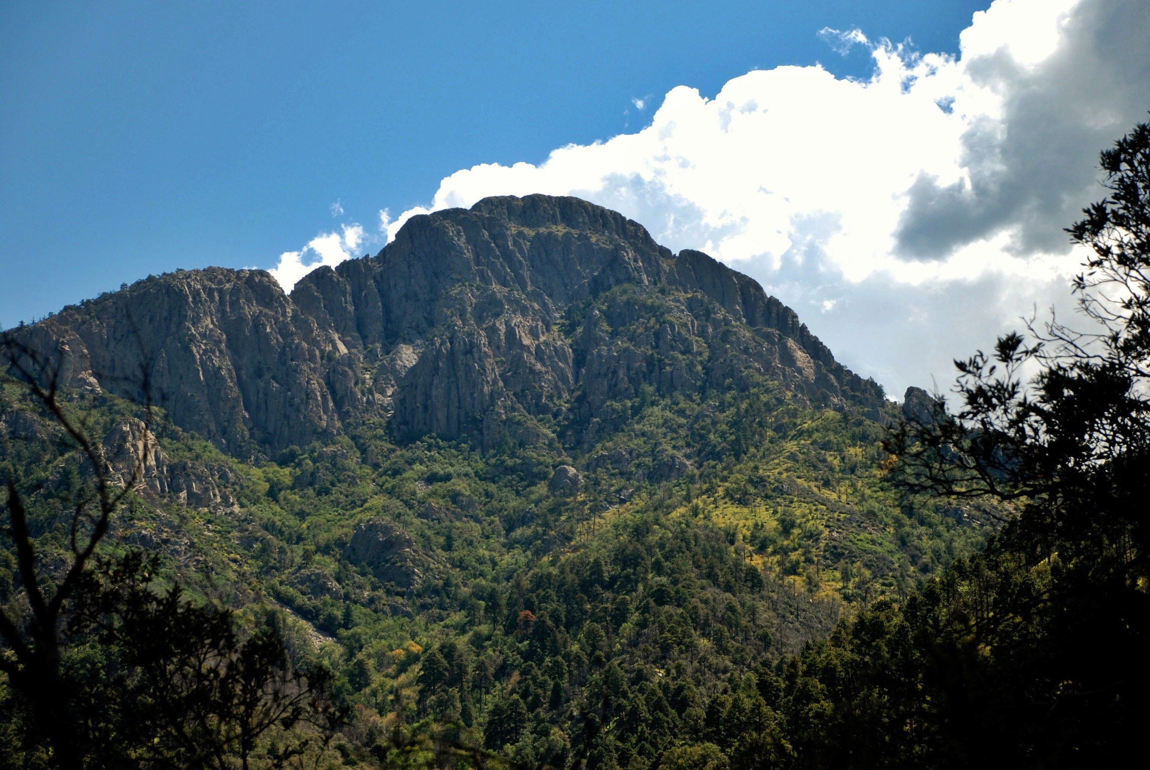 Mount Wrightson