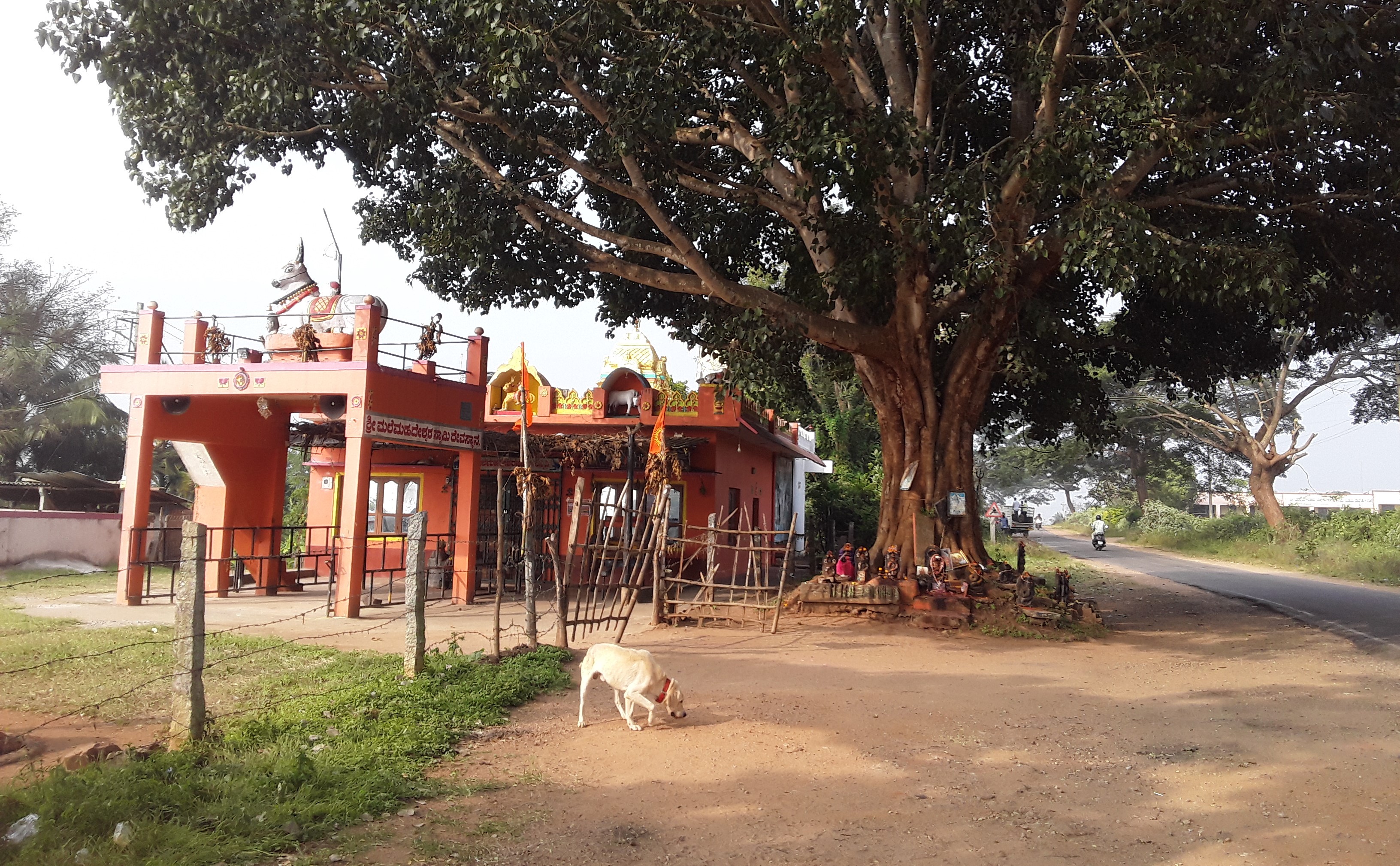 Heggadadevana kote, India