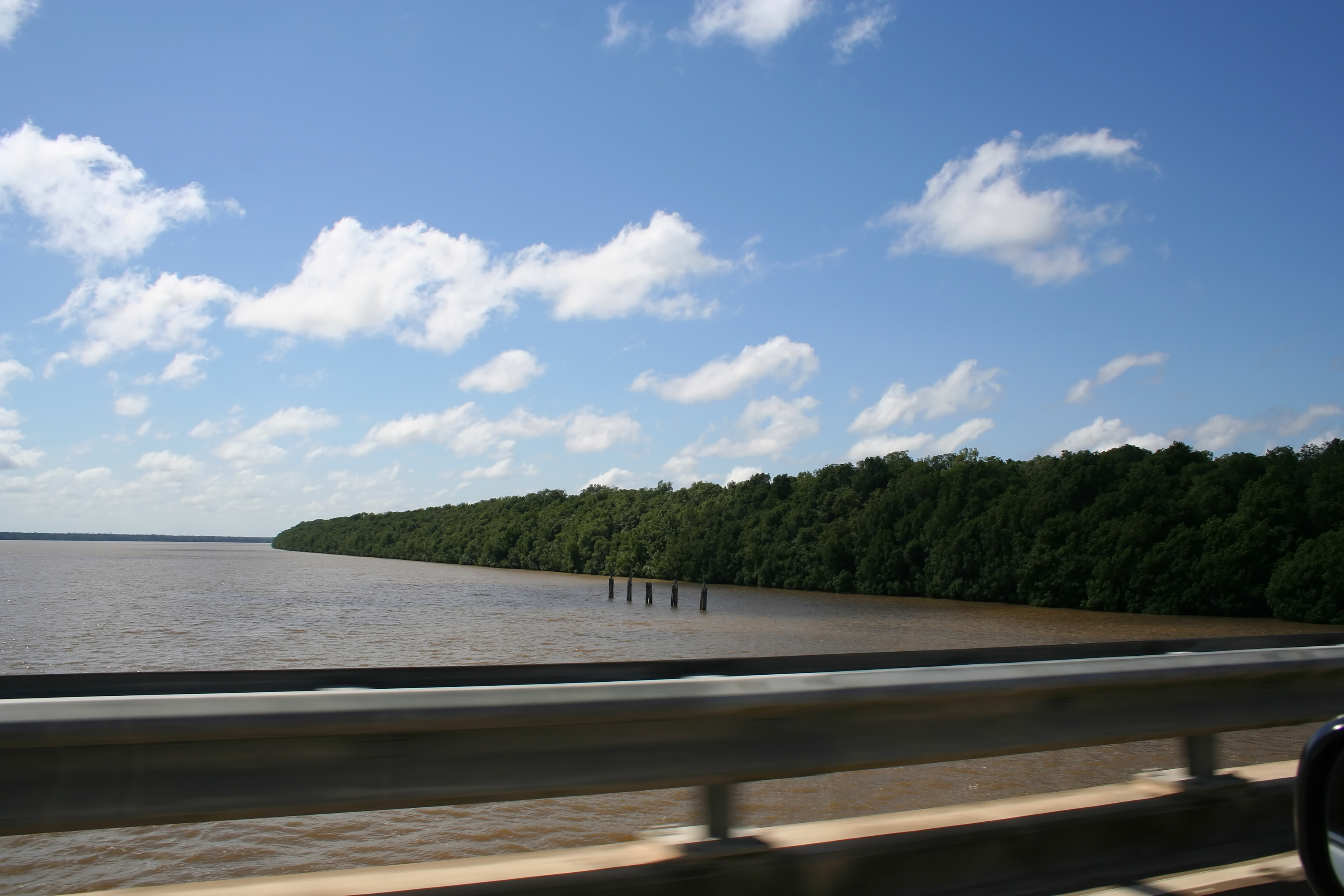 Coppename Bridge