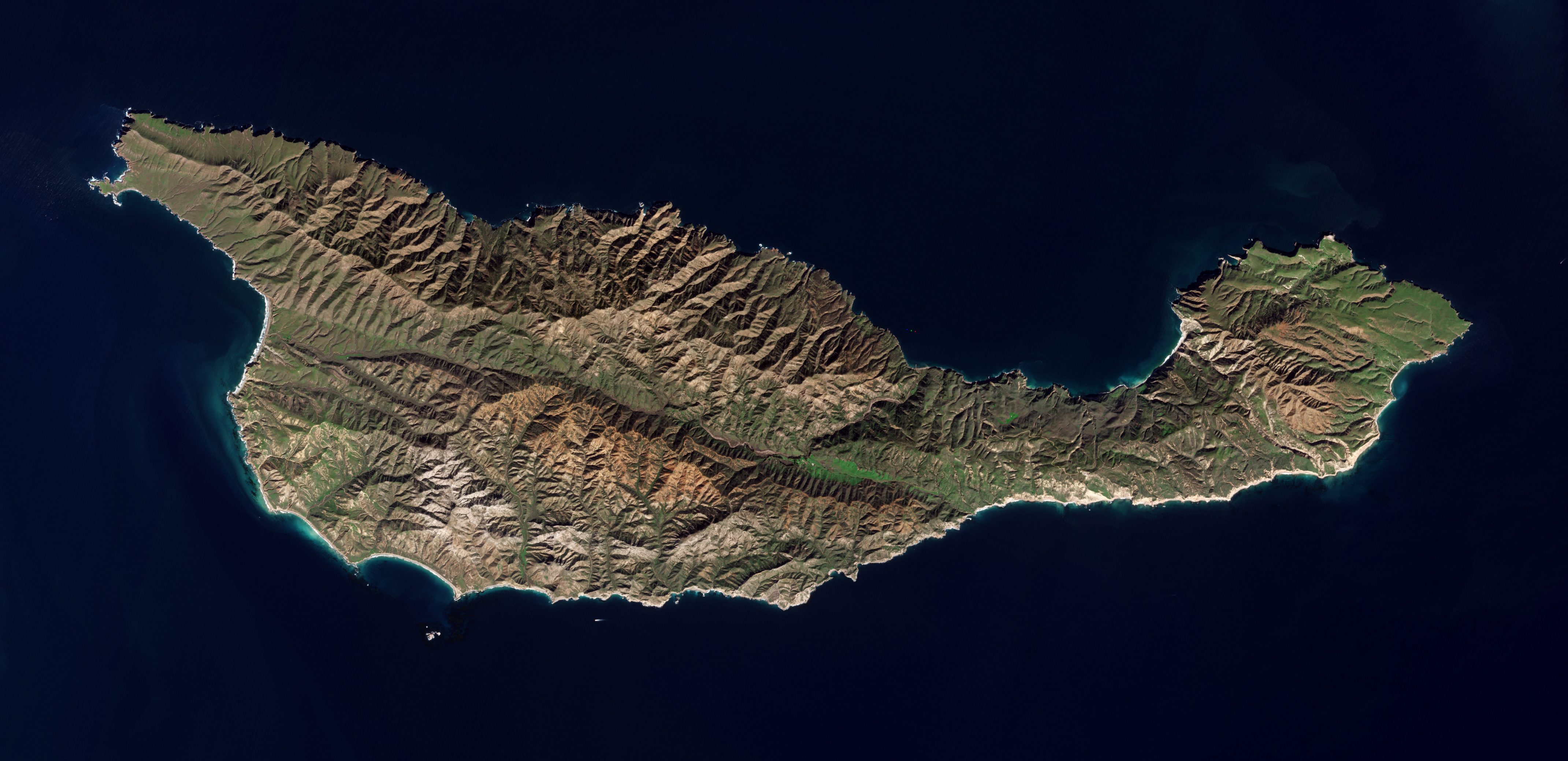 Santa Cruz Island