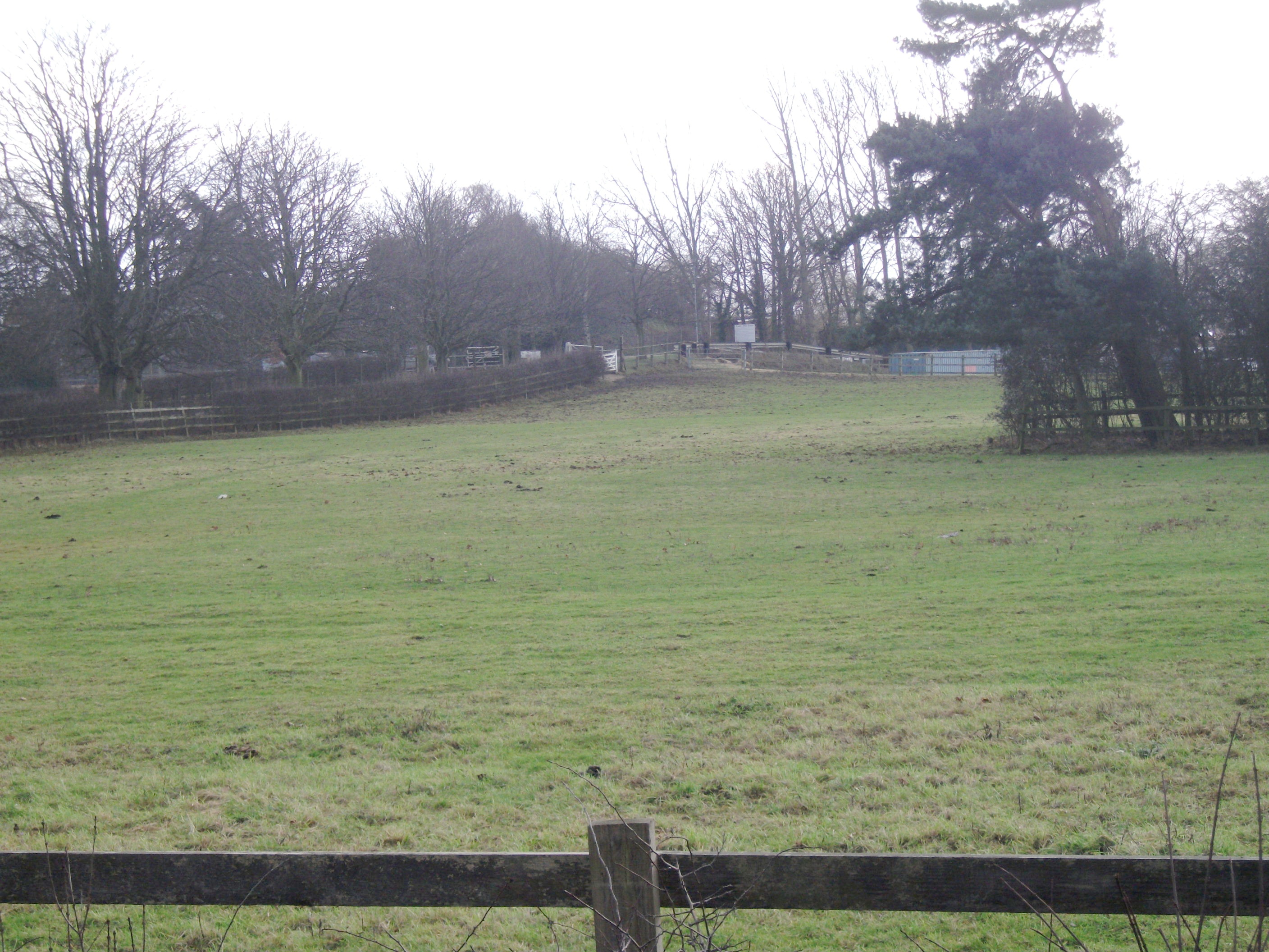 Risinghoe Castle
