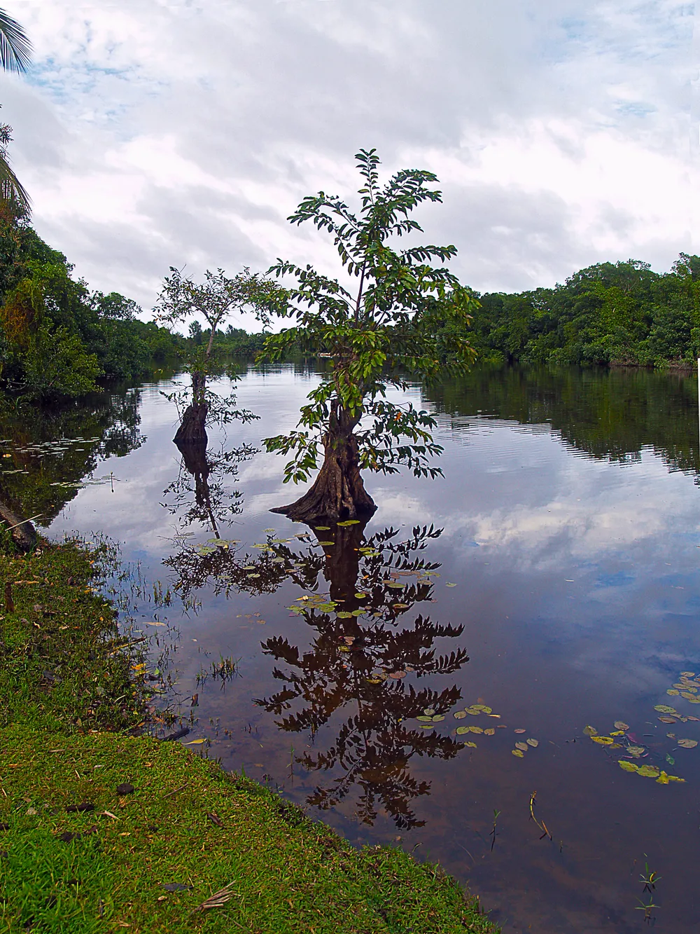 Punta Izopo Wildlife Refuge, Honduras