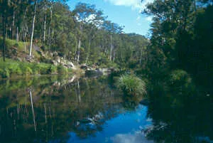 Carnarvon National Park