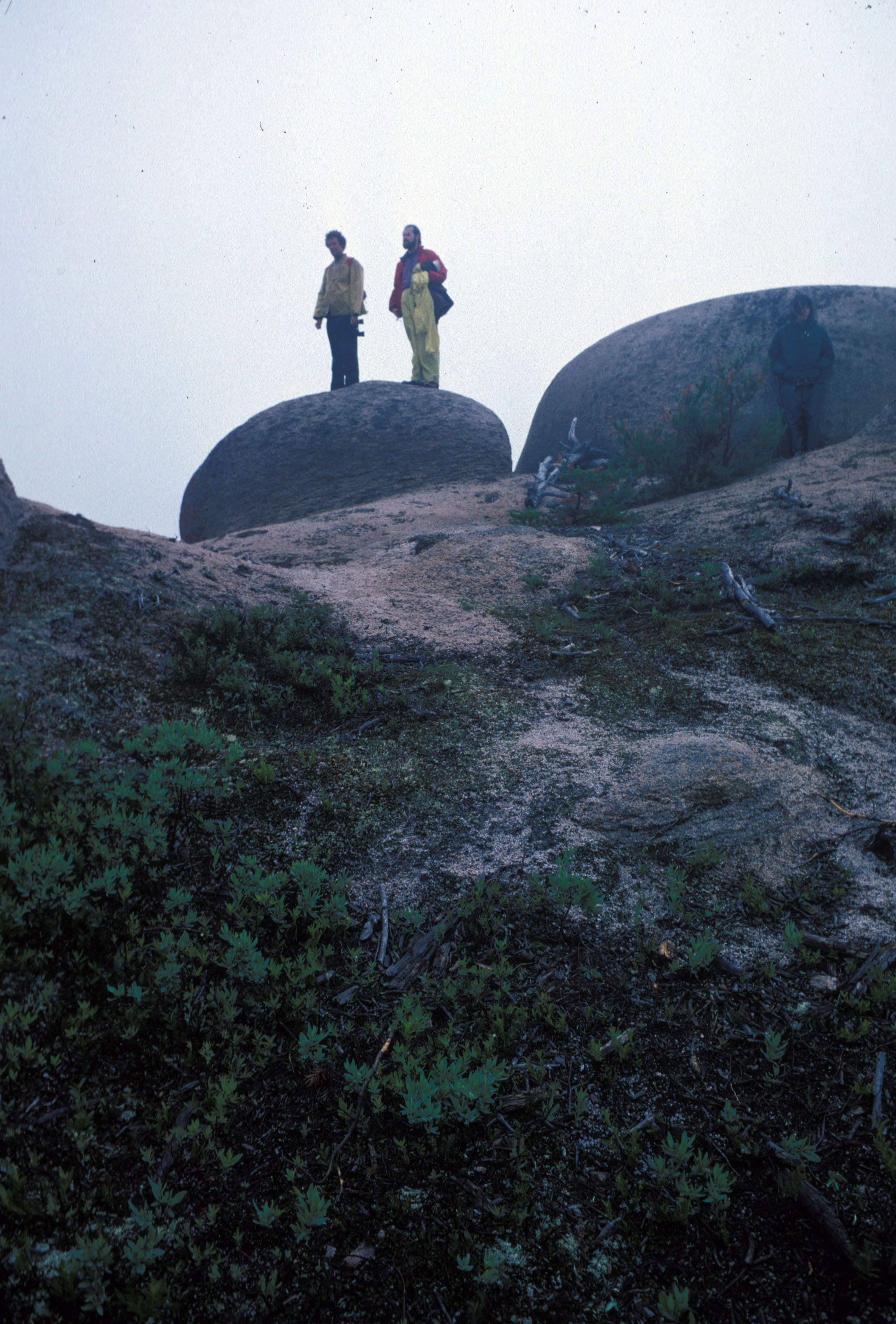 Colonels Mountain