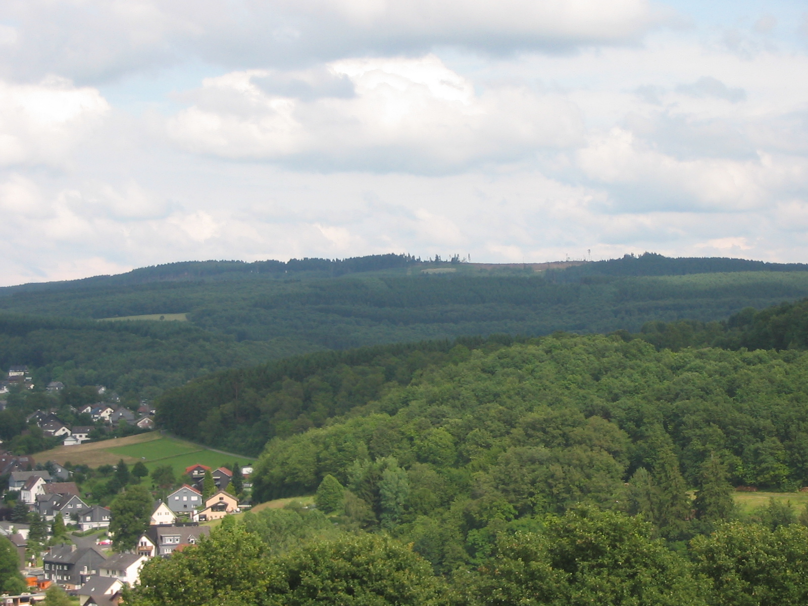 Kalteiche