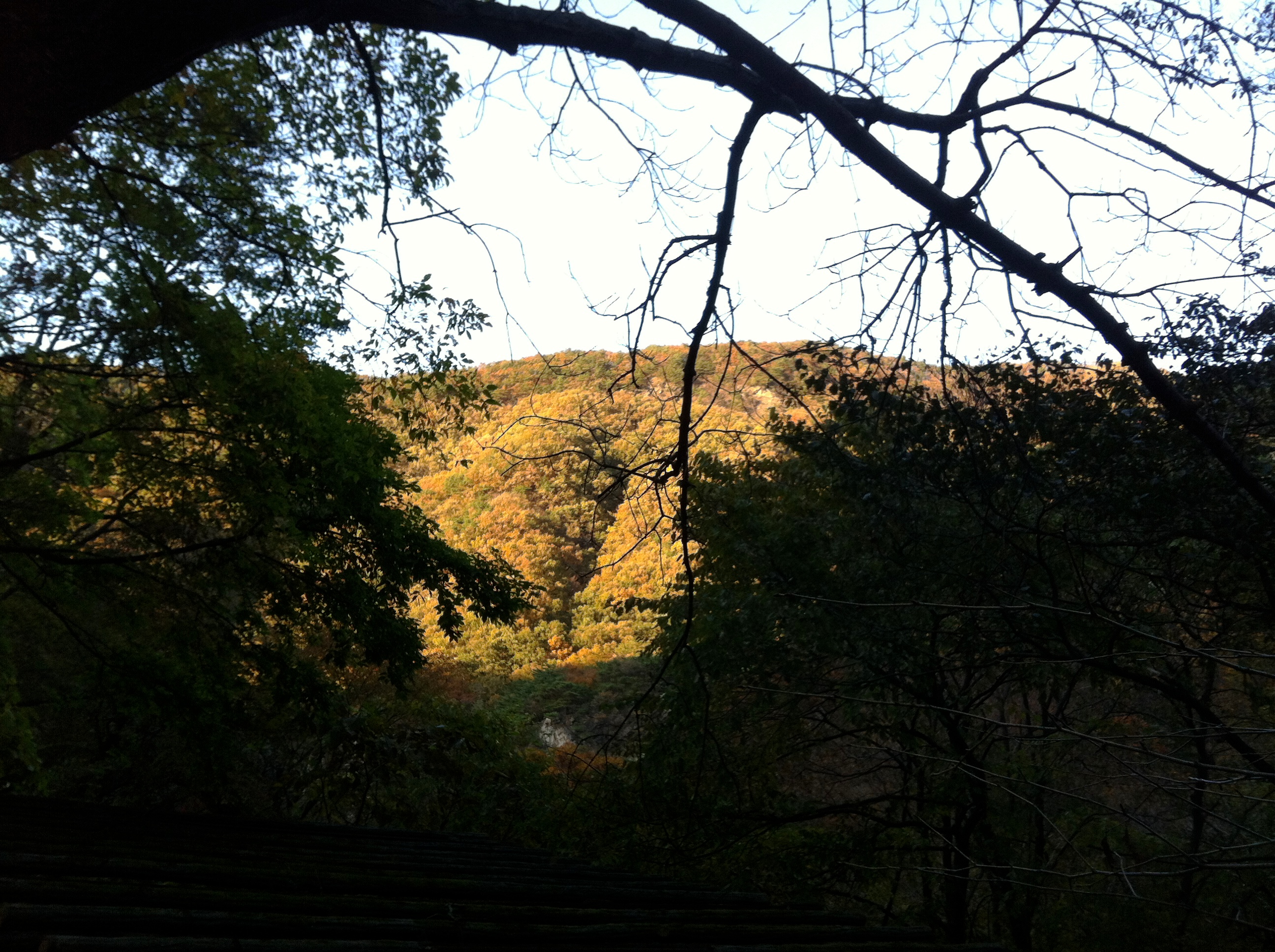 Soyosan