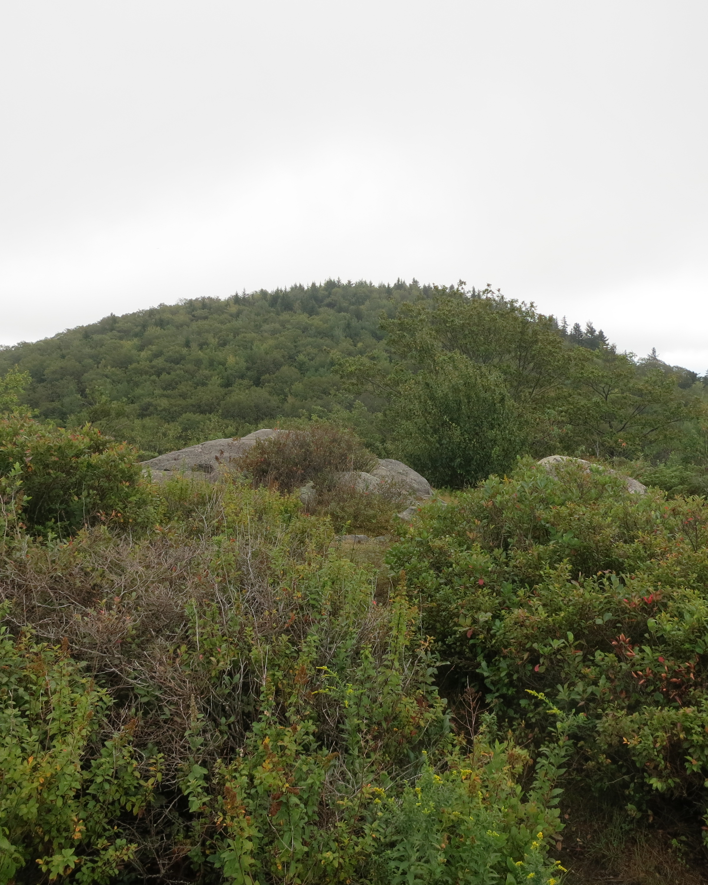 Gap Mountain