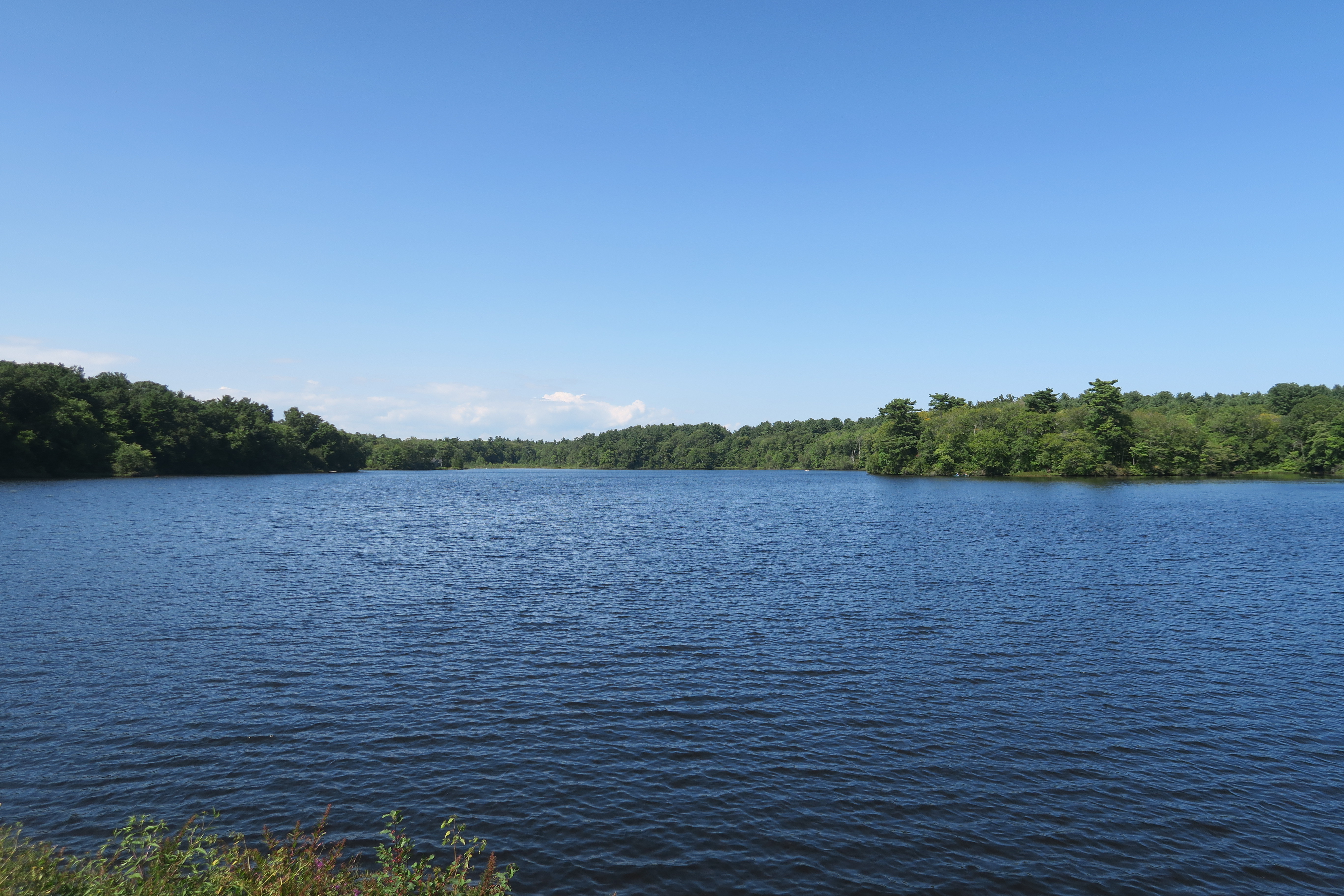 Jacobs Pond