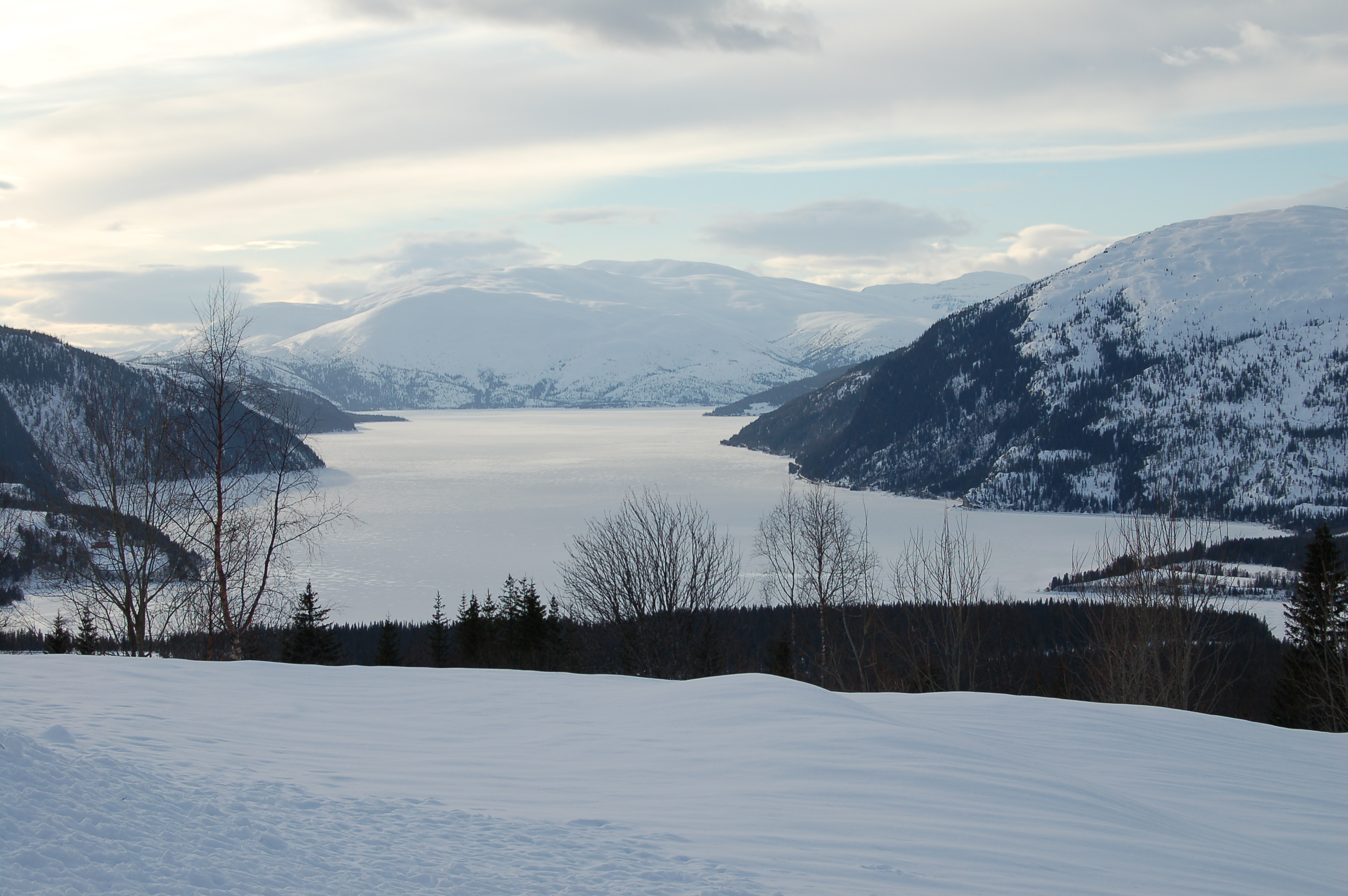 Langvatnet