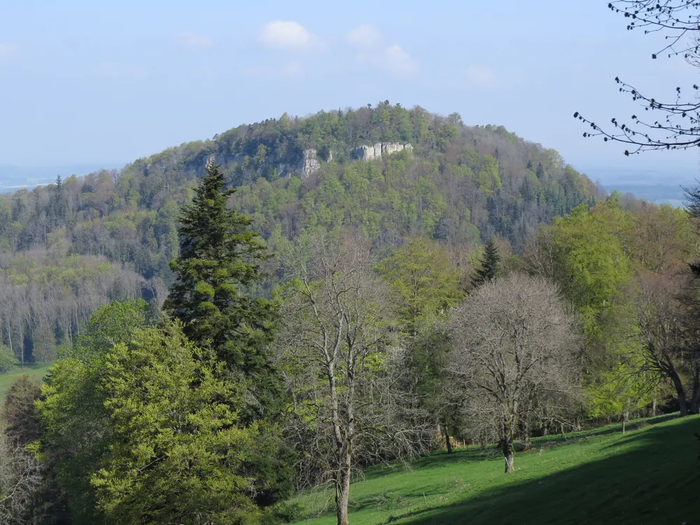 Mont Terri