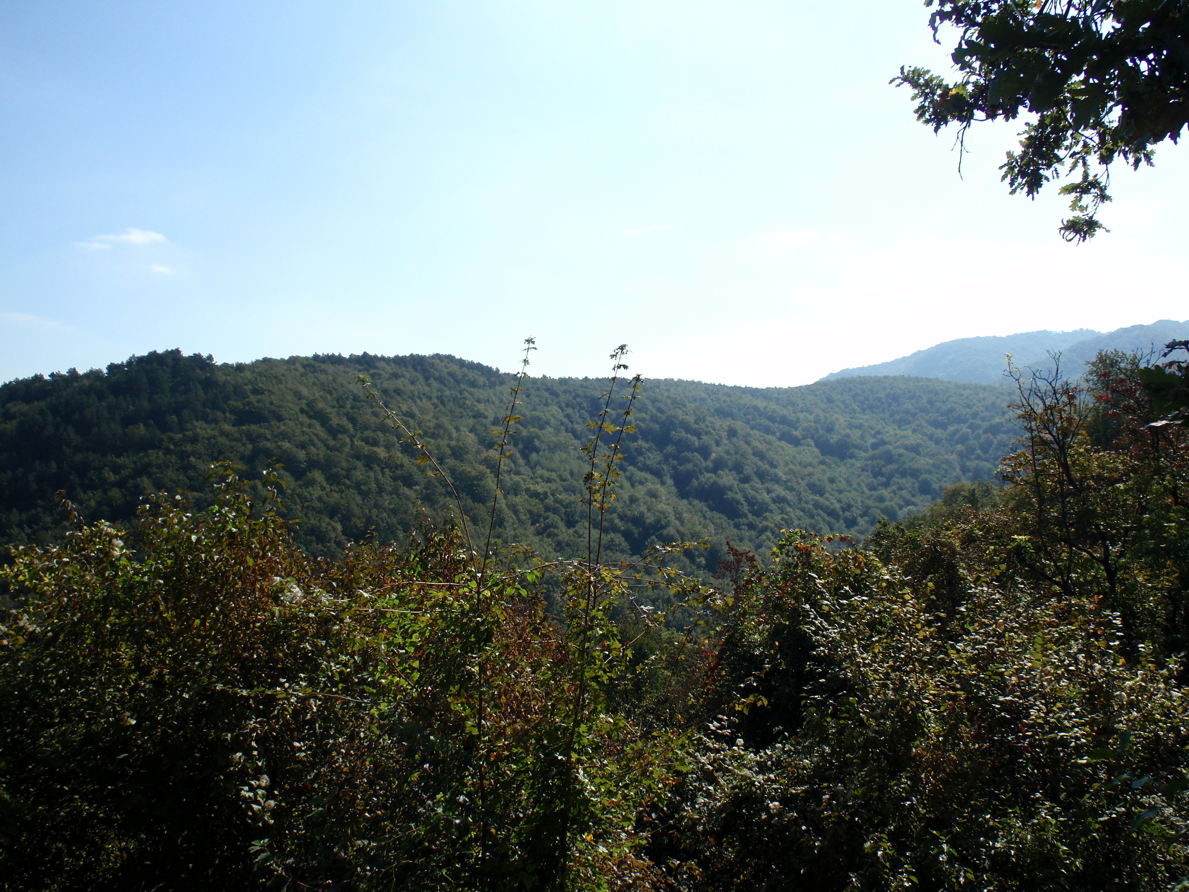 Krndija
