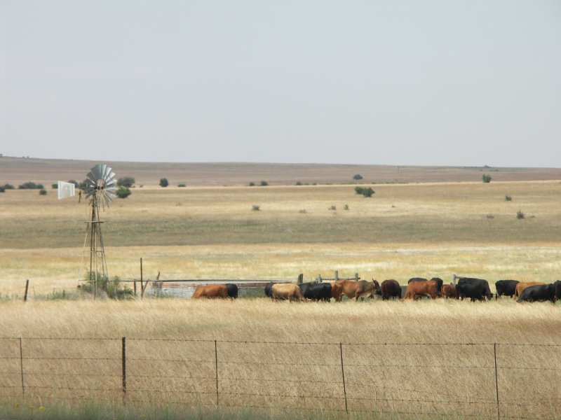 Free State, South Africa