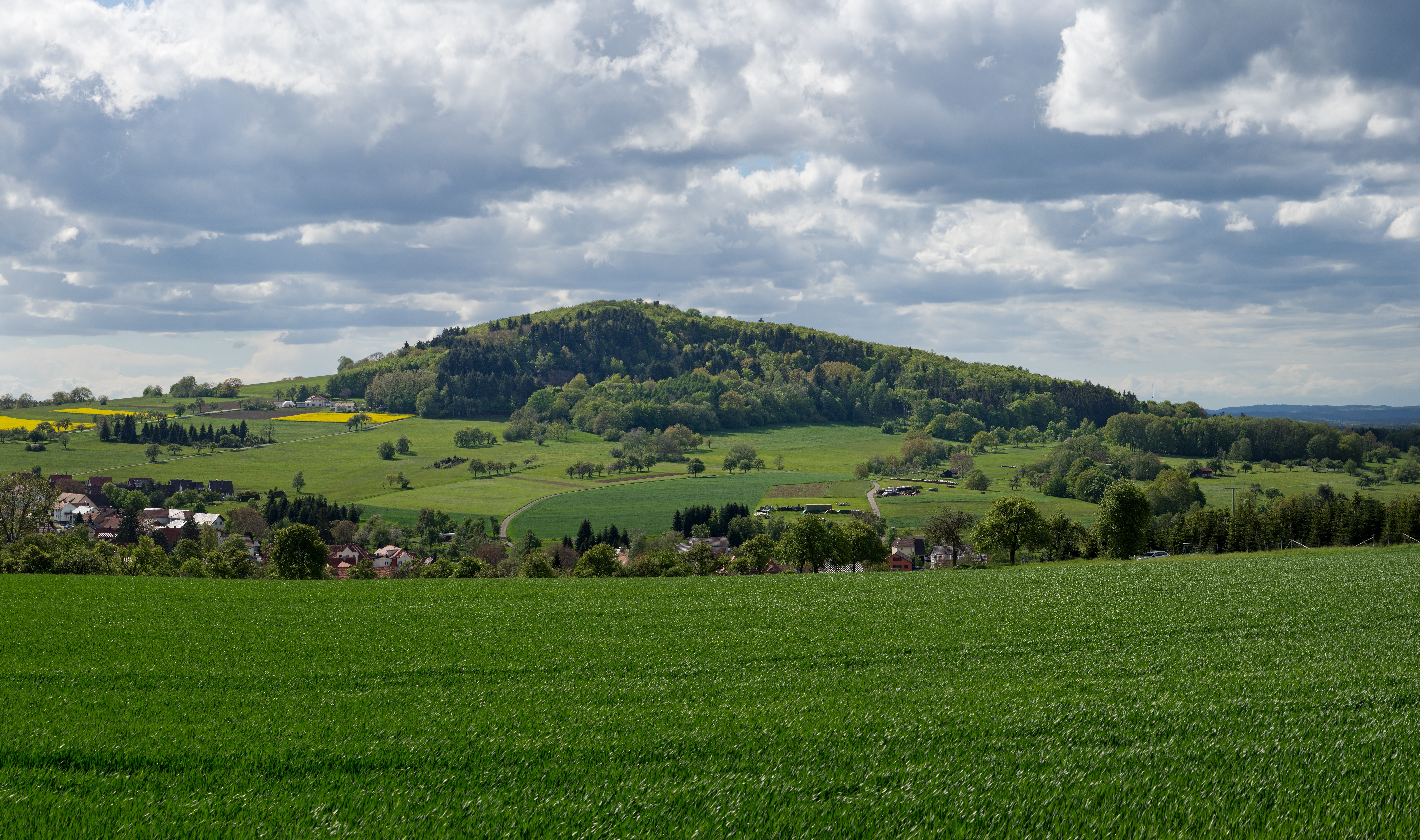 Katzenbuckel