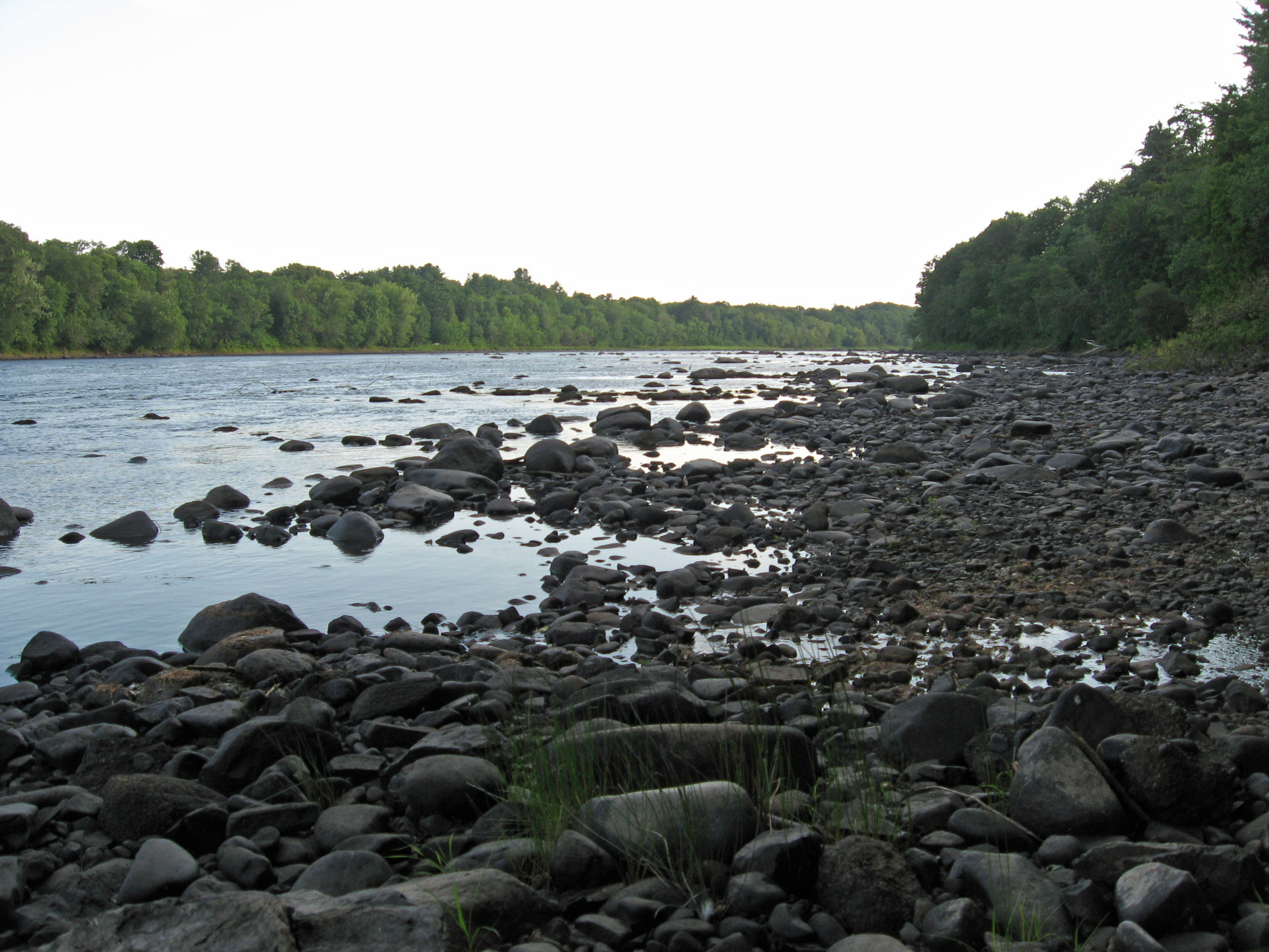Marsh Island