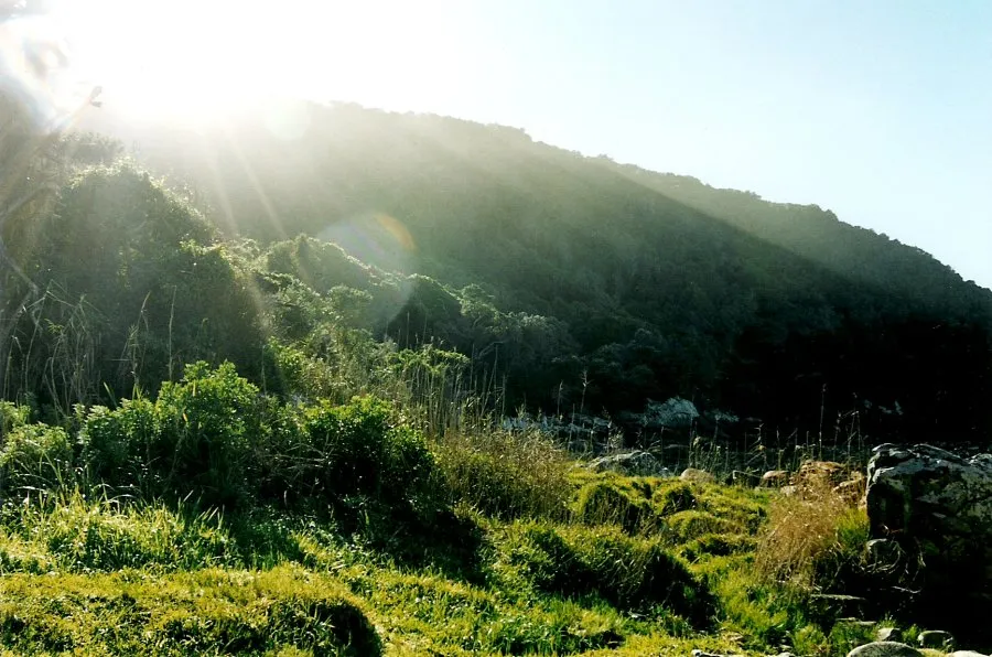 Tsitsikamma National Park, South Africa