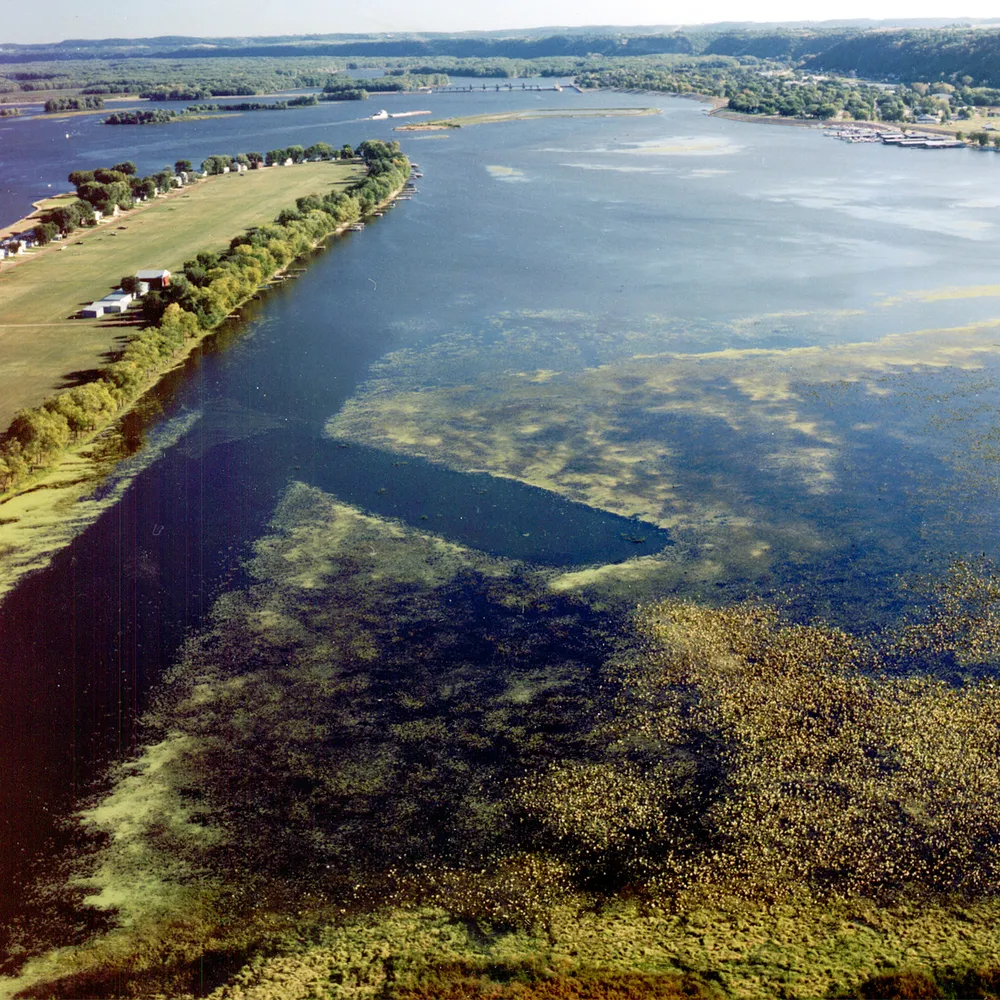 Bussey Lake