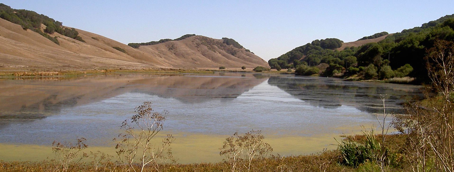 Laguna Lake