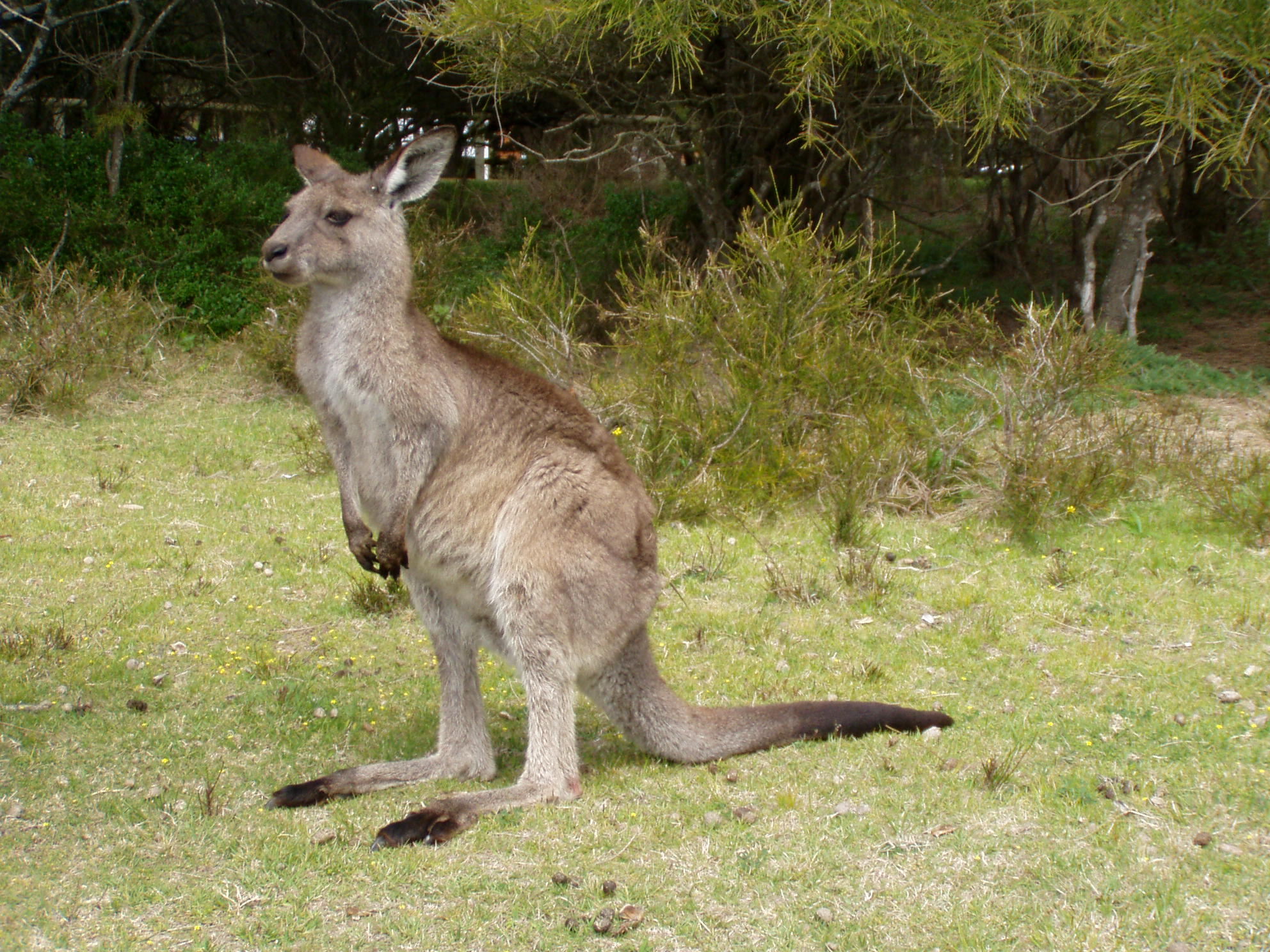 Mount Aberdeen National Park