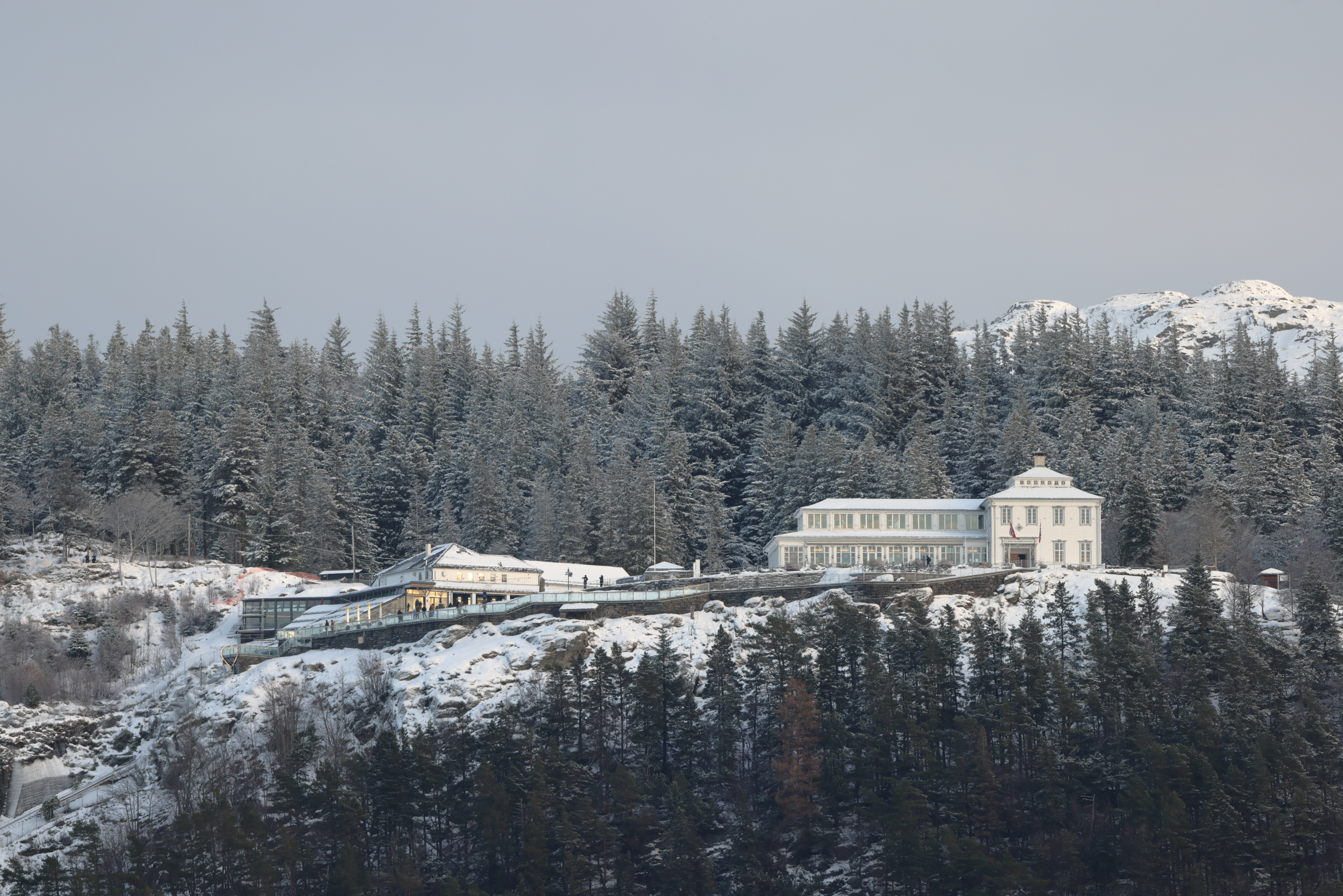 Fløyen