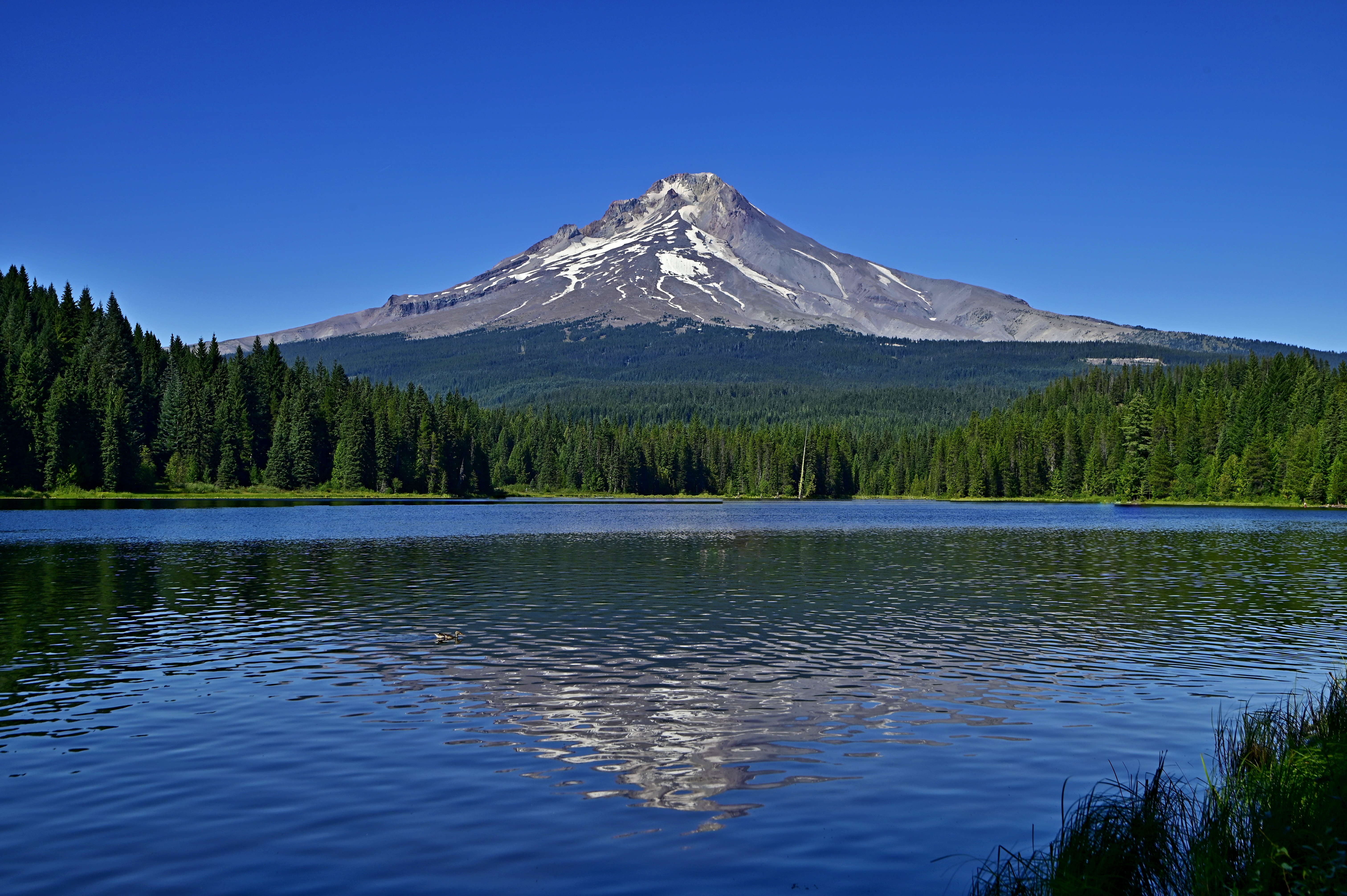 Mount Hood