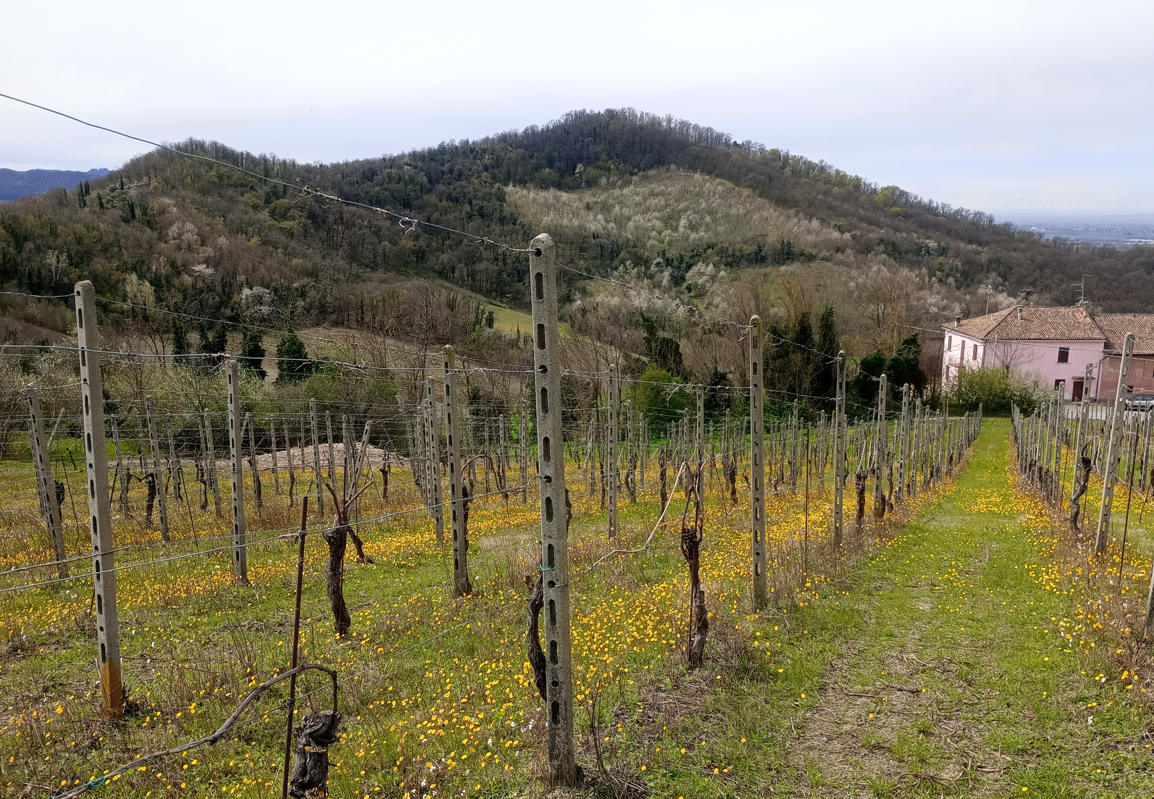 Monte Ceresino