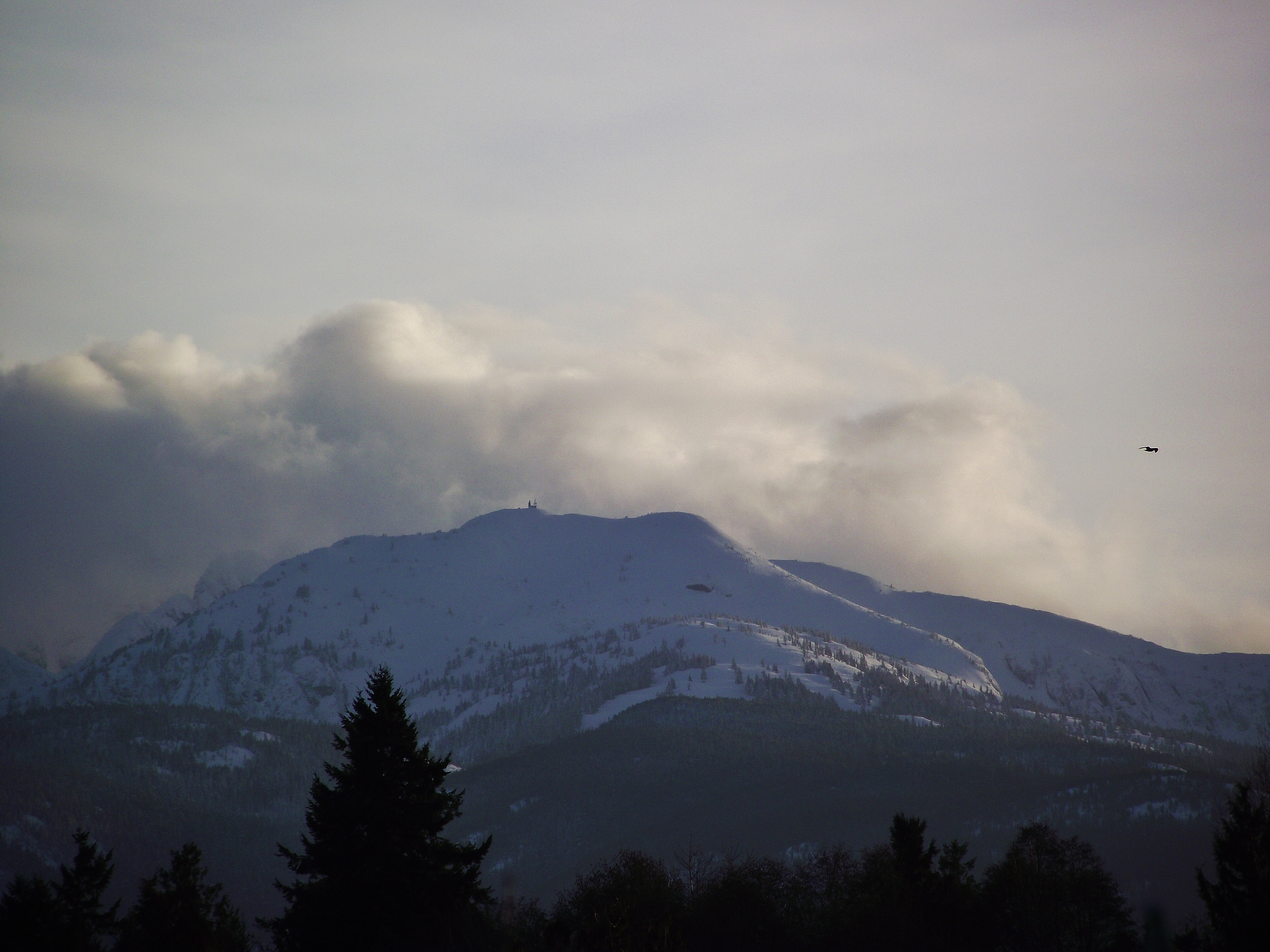 Mount Cokely