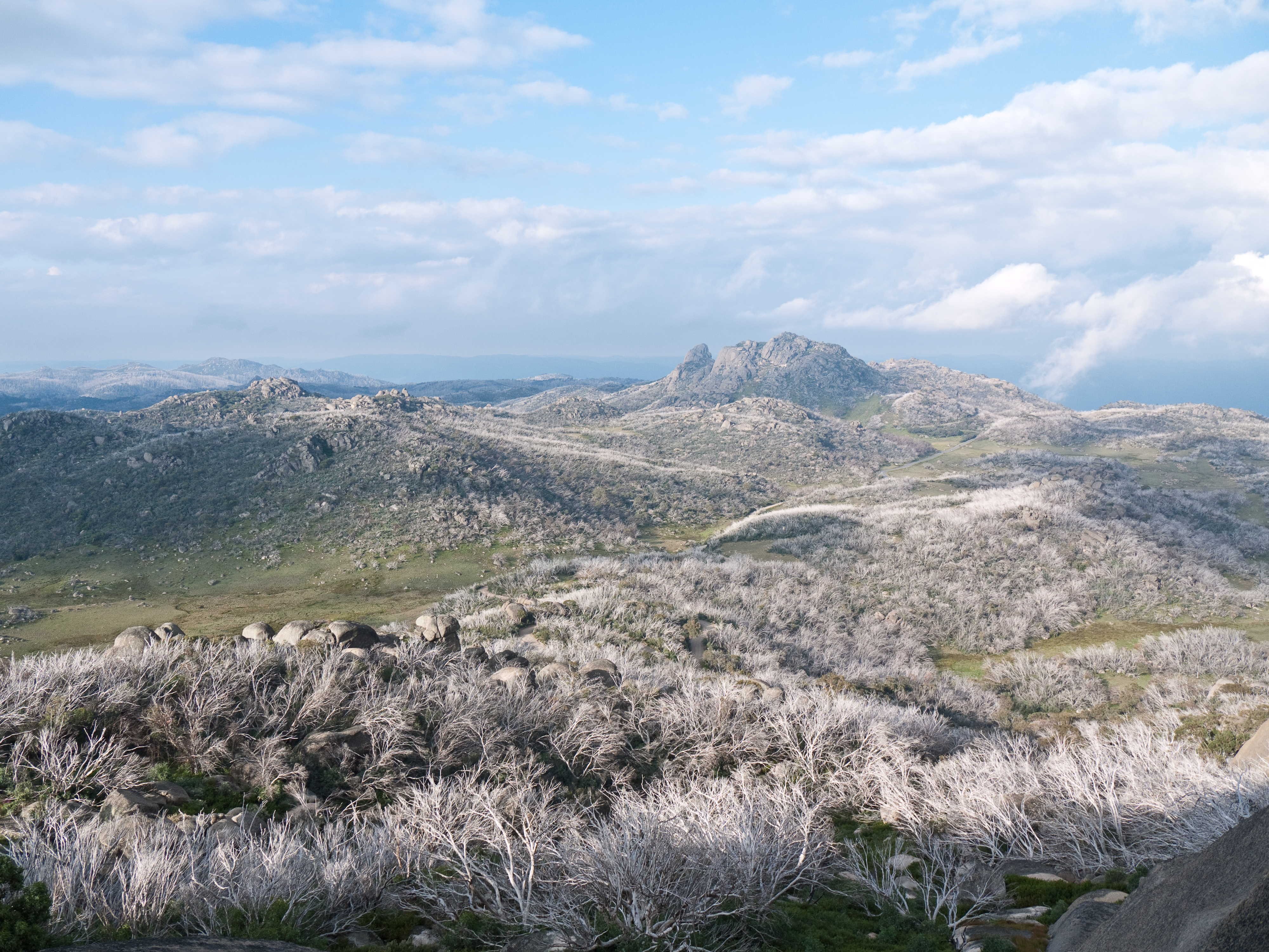 Mount Buffalo National Park