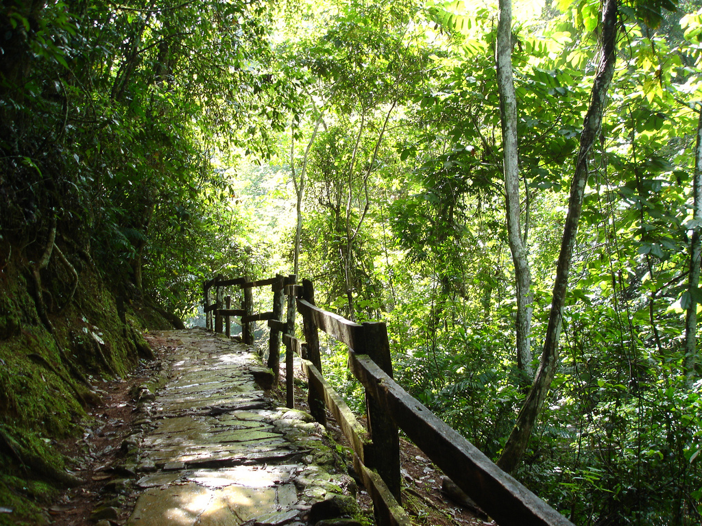 Guatopo National Park