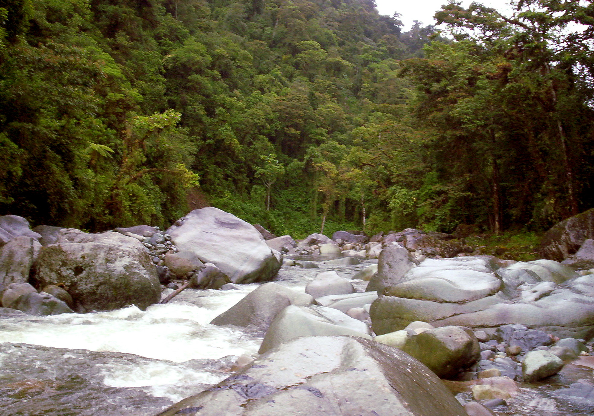 Tapantí National Park, Costa Rica