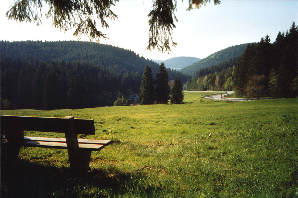 Rehhübel