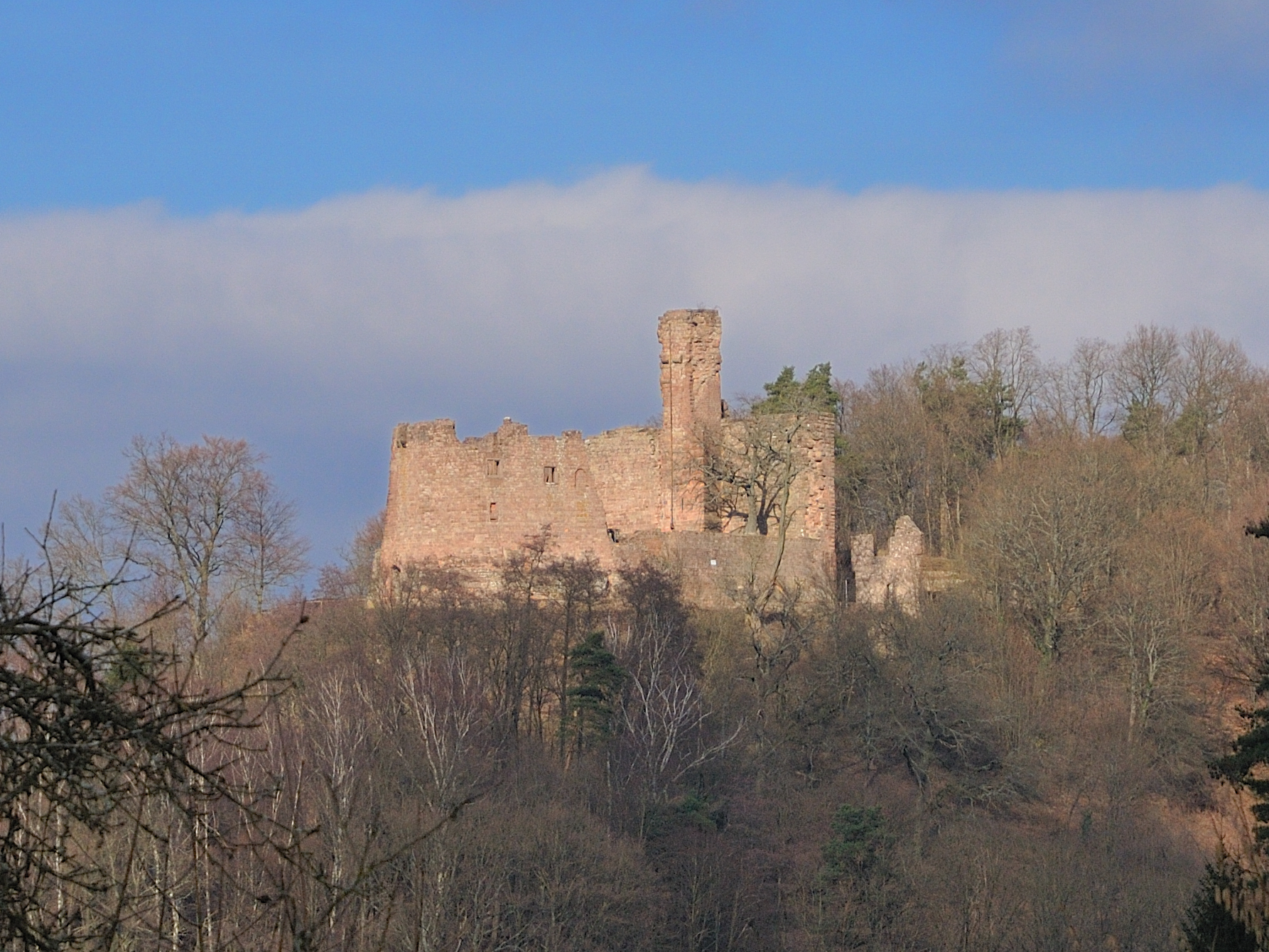 Hohenecken Castle