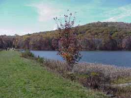 Summit Lake (West Virginia)