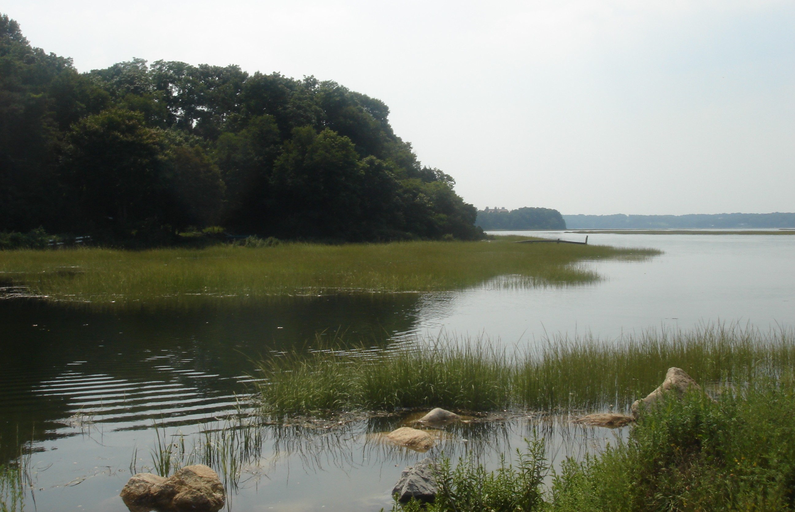Stony Brook, United States
