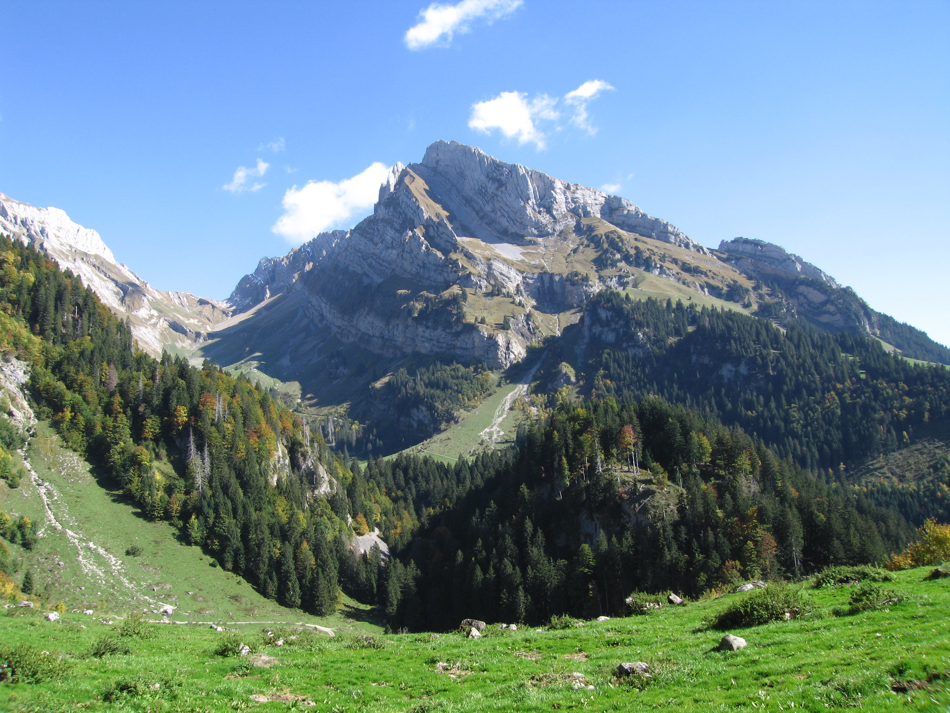 Wildhuser Schafberg