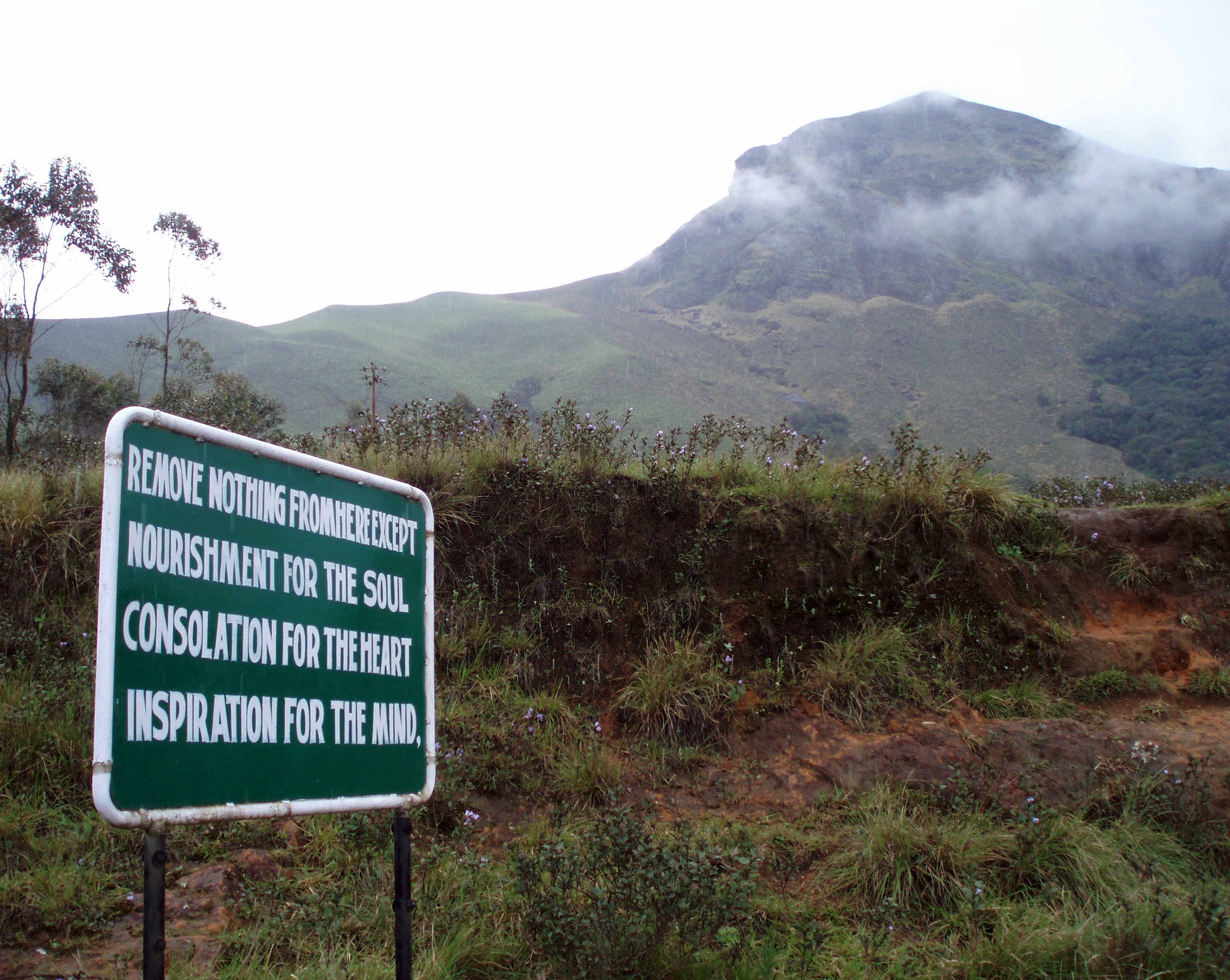 Eravikulam National Park, India