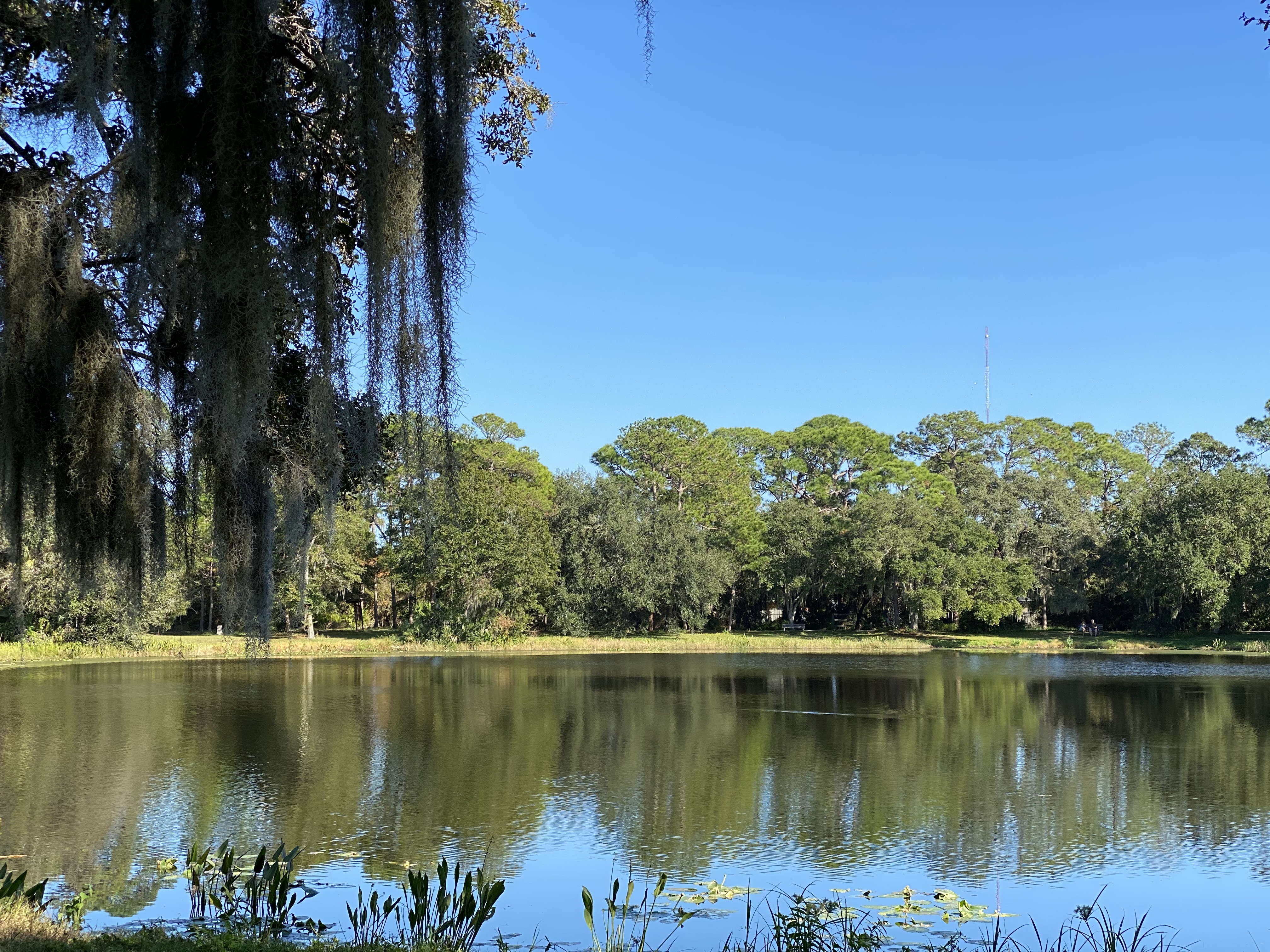 Lake Seminole