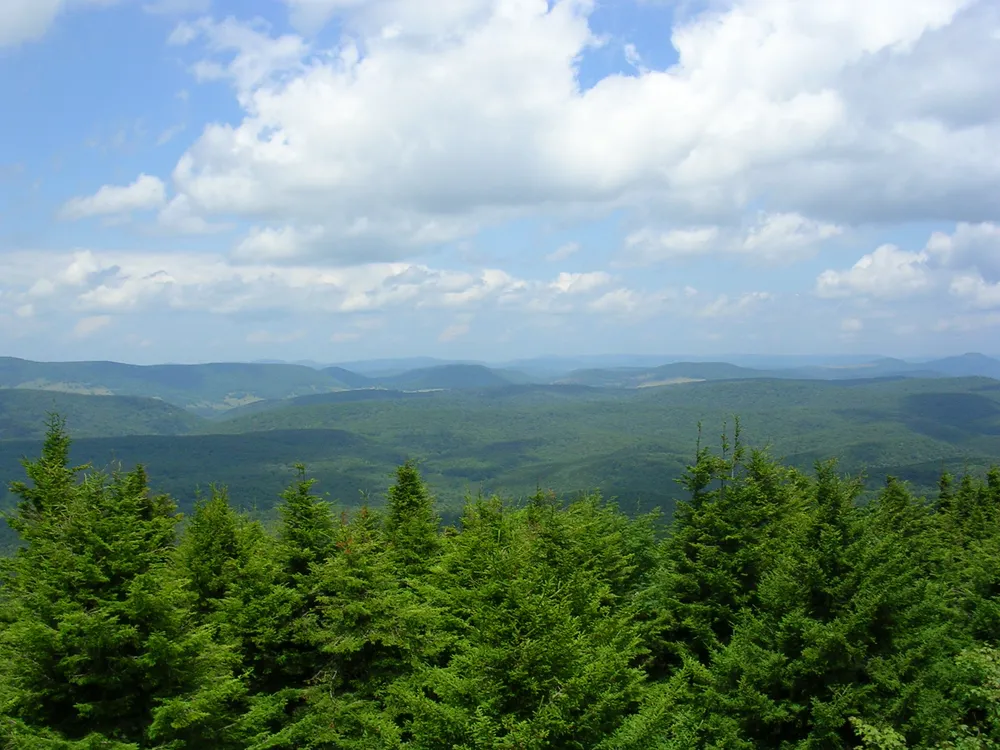 Monongahela National Forest, United States