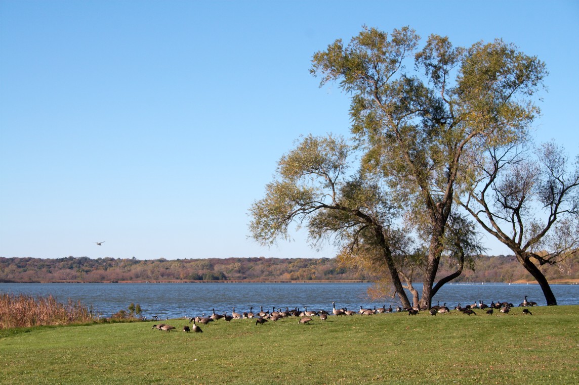 Lake Wingra
