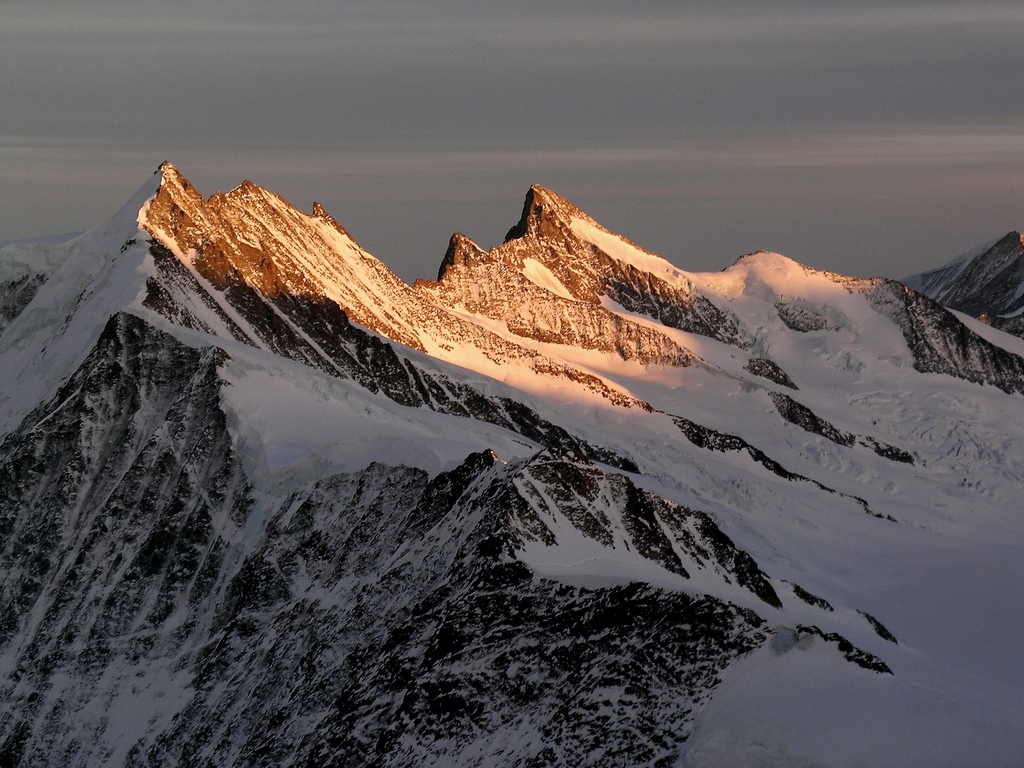 Grünhorn