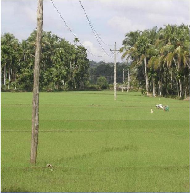 Kannapuram, India