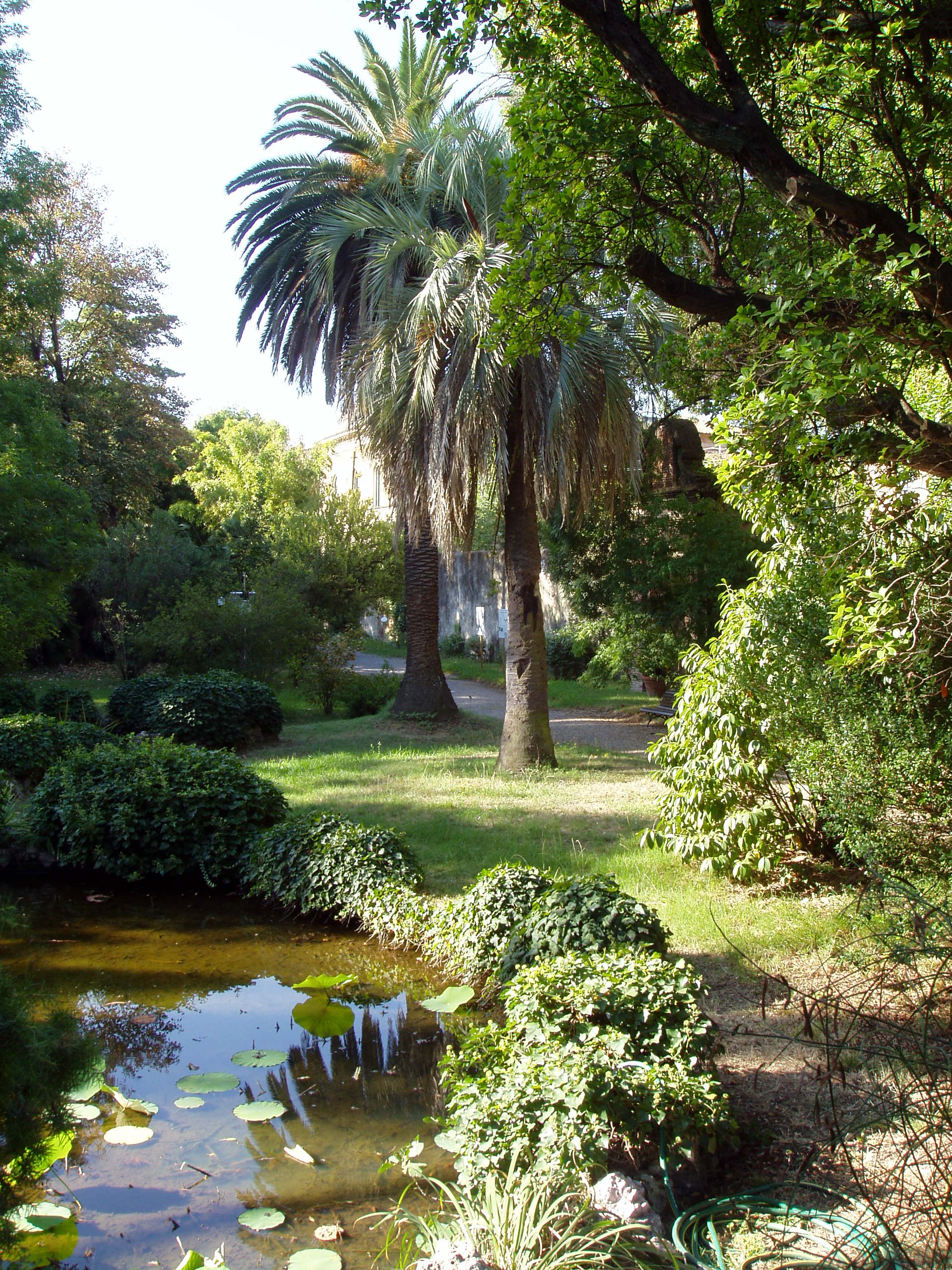Pisa Botanic Garden and Museum