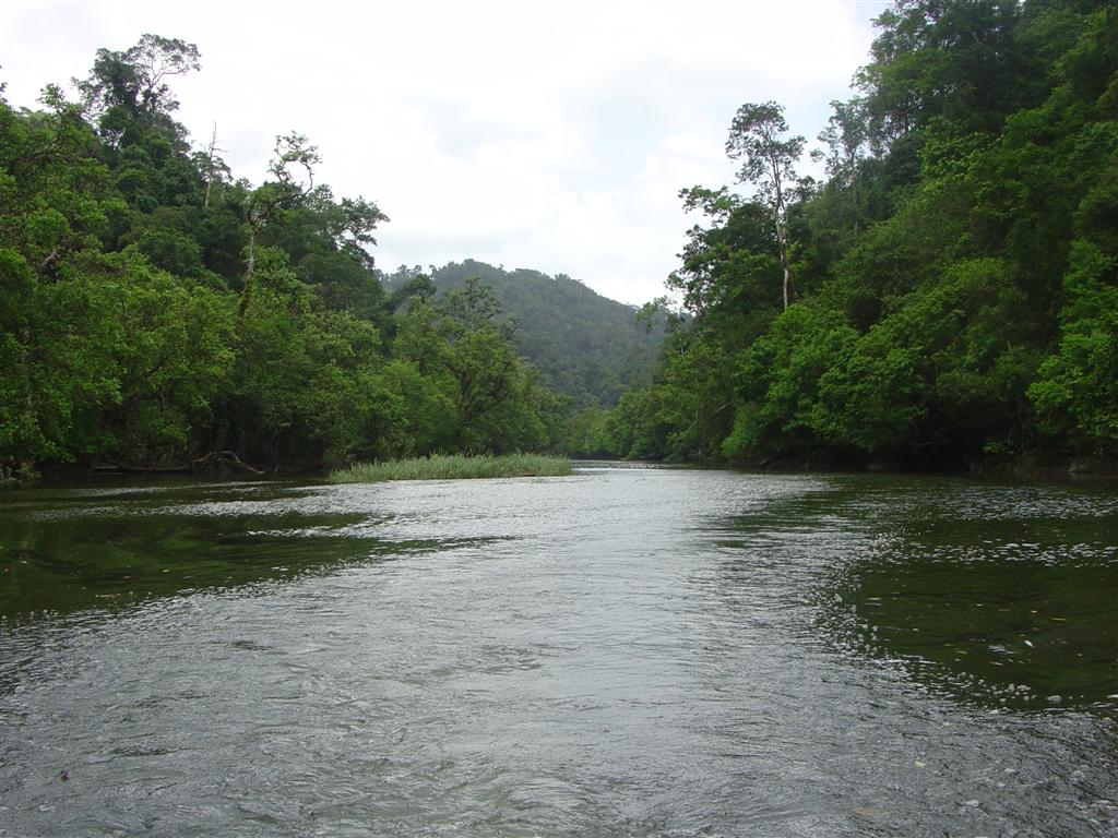 Lampi Island Marine National Park
