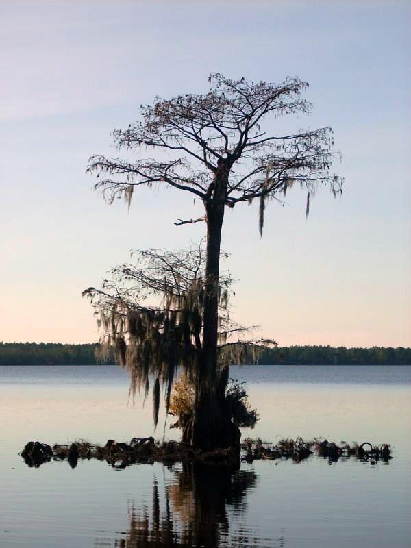 Singletary Lake