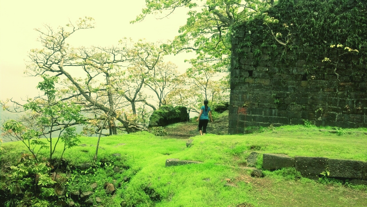 Karnala Bird Sanctuary, India