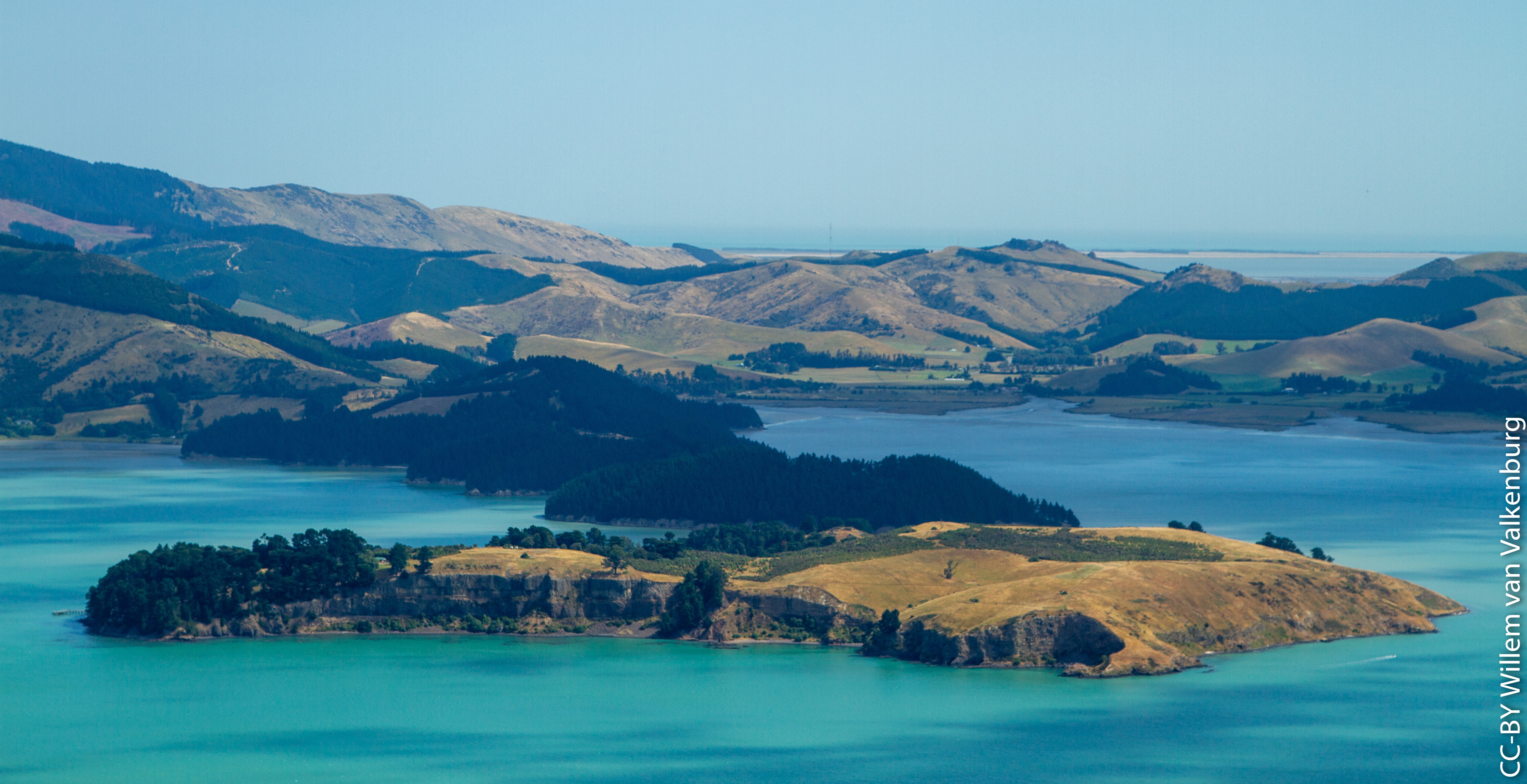 Ōtamahua / Quail Island